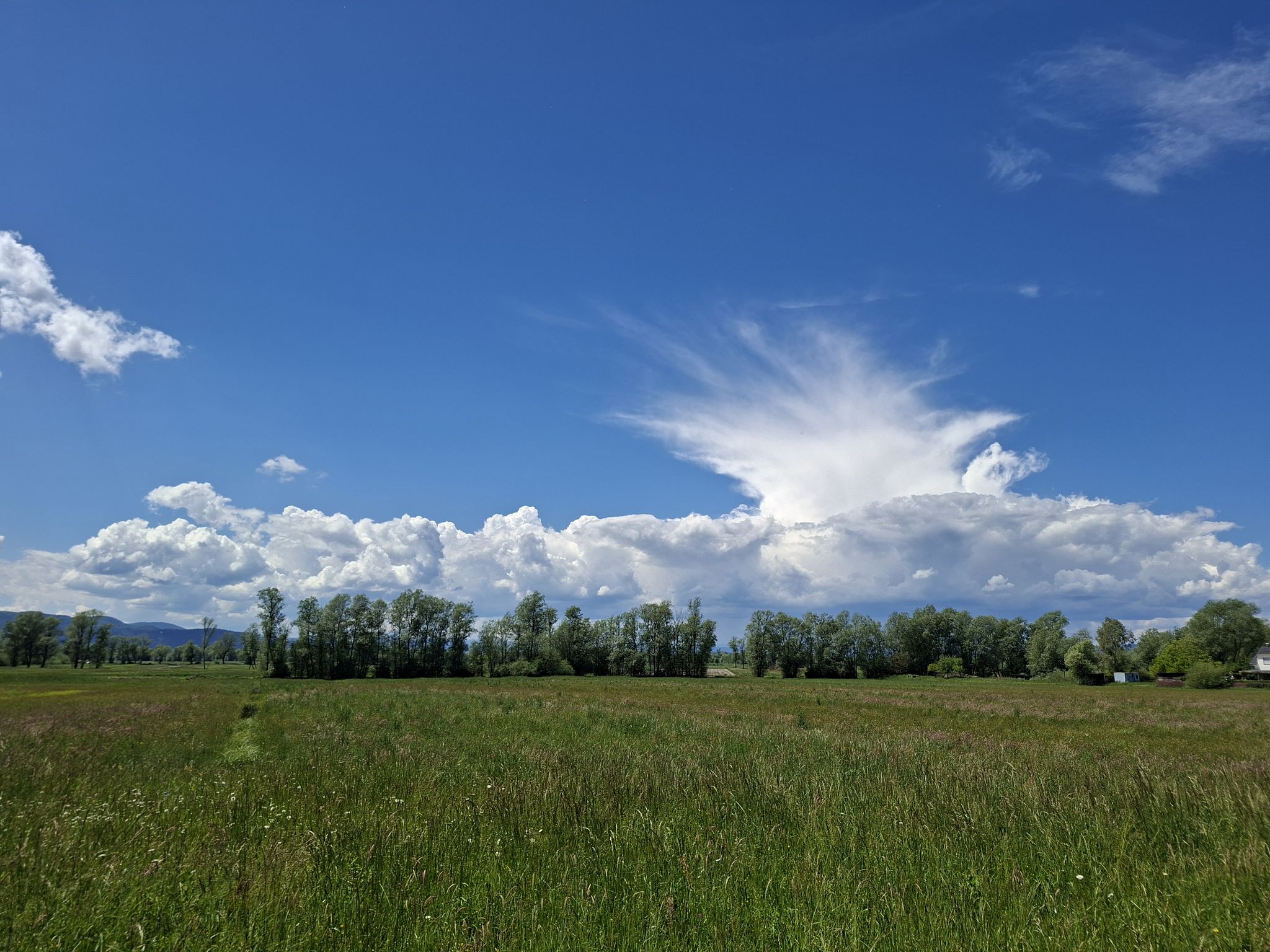 Clouds over the Barje
