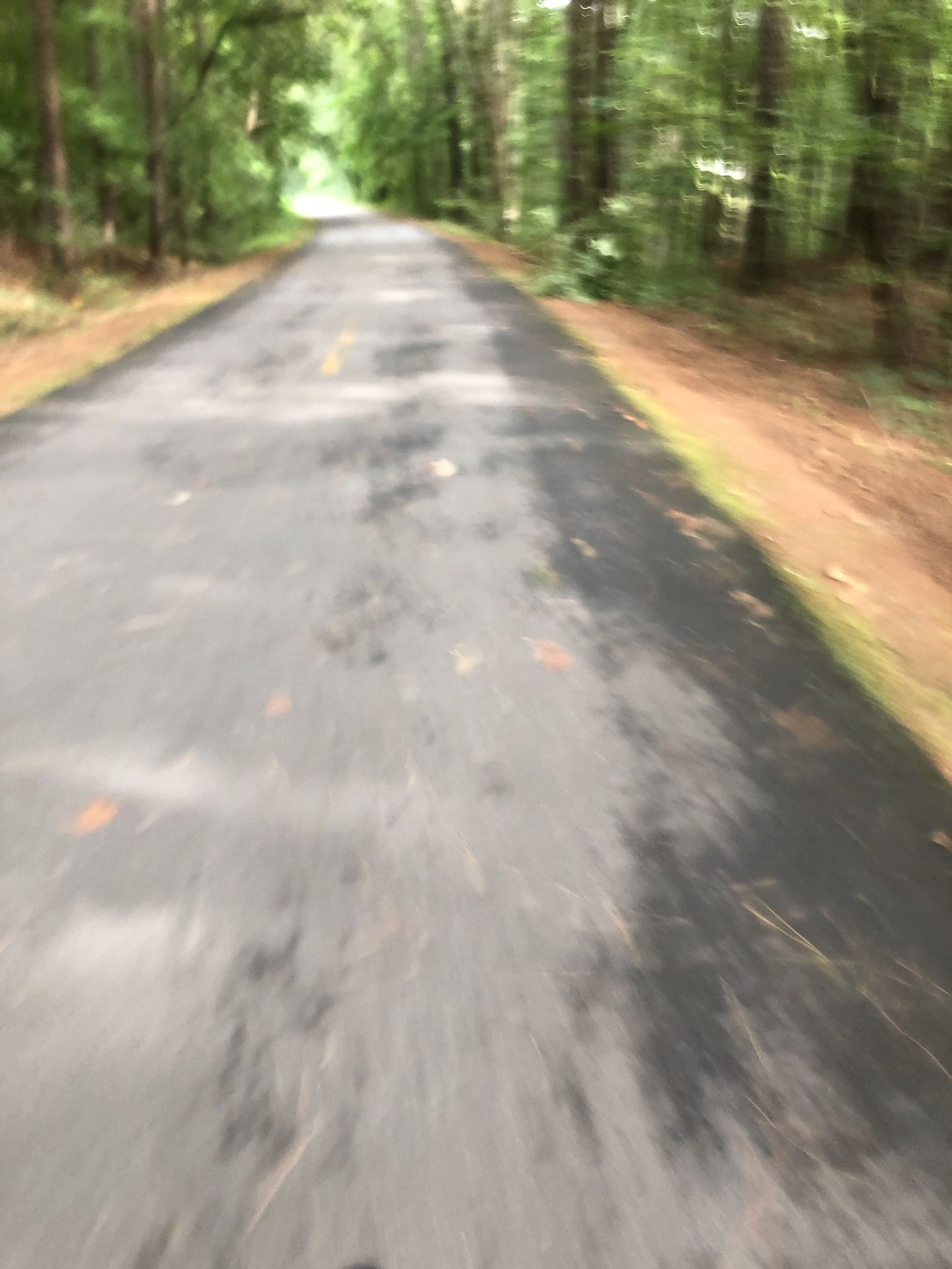 Blurry paved path through a green forest, suggesting fast movement. - Silver Comet Trail loop from Powder Springs