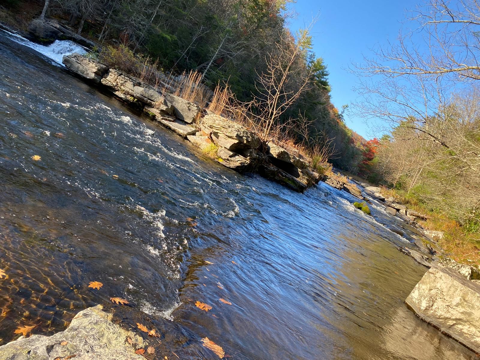 Sunny river flowing over rocks with forested banks under a clear blue sky. - High Falls, Denton Falls, and Mullet Falls