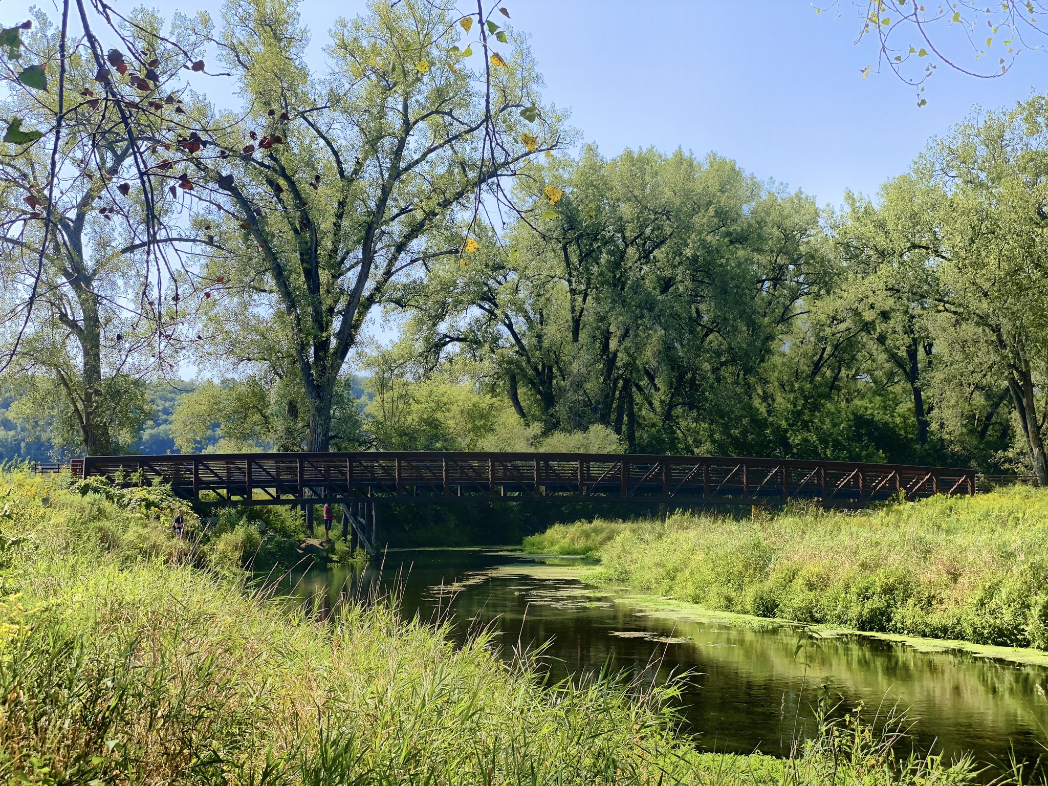 Wooden bridge over a calm river, surrounded by lush green trees. - Trout Run Loop – The Hay Market loop from Decorah