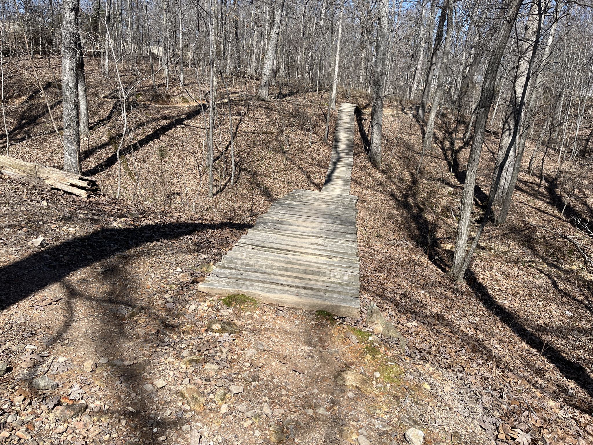 Wooden boardwalk ramp ascending through a bare, sunny forest. - Back 40 Trail Sculptures loop from Rago