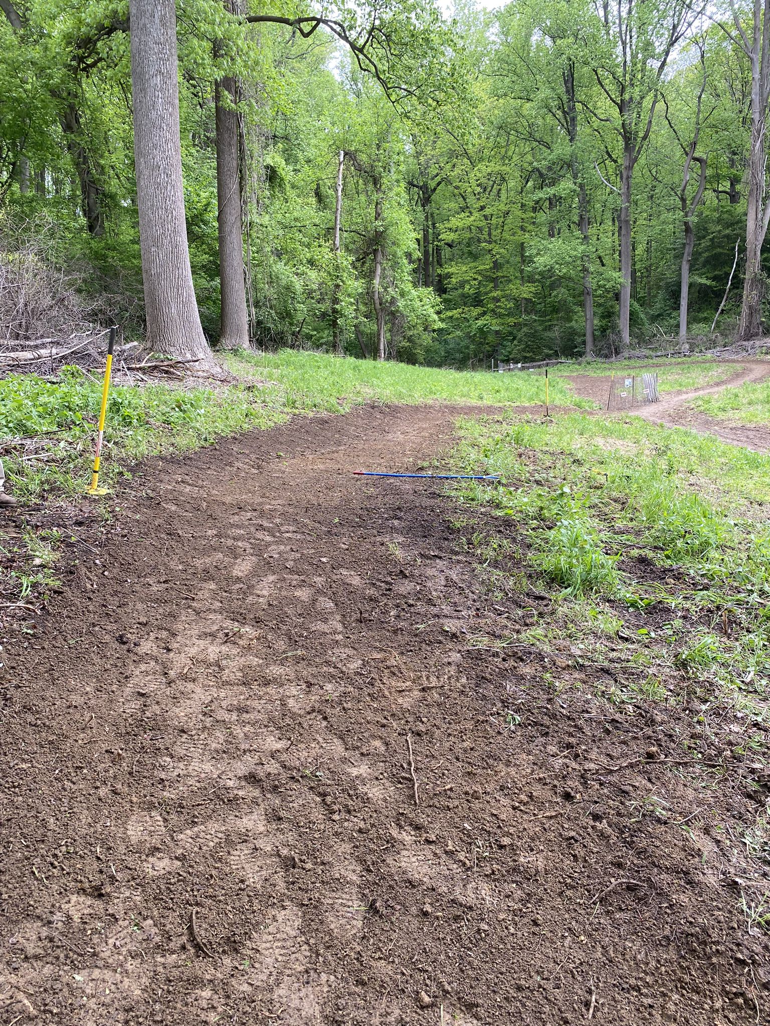 Wide, muddy dirt path leading into a grassy clearing with green trees. - Rocky Point Downhill Section – Rocky Point Trail loop from Highlands