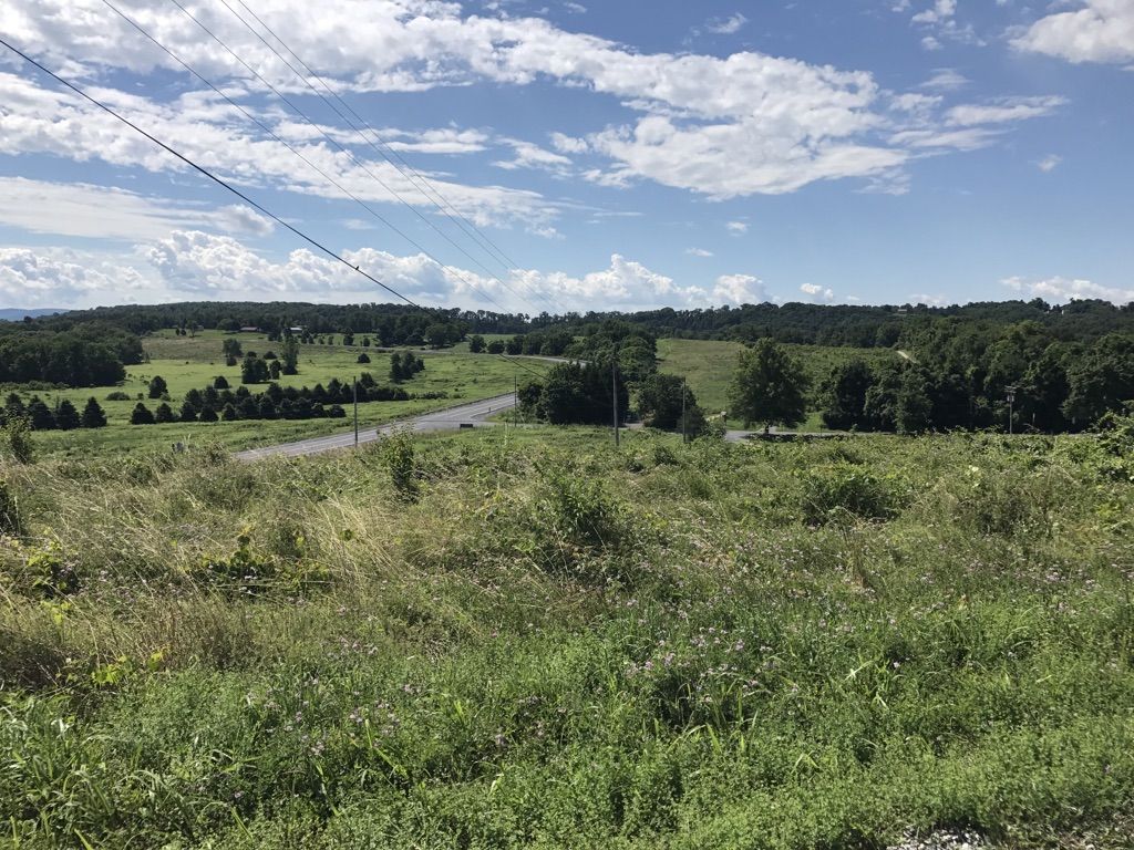 Expansive green fields and distant trees under a bright, cloudy sky. - Wertz's Covered Bridge – Union Canal Trail loop from Tulpehocken Creek Valley Park System