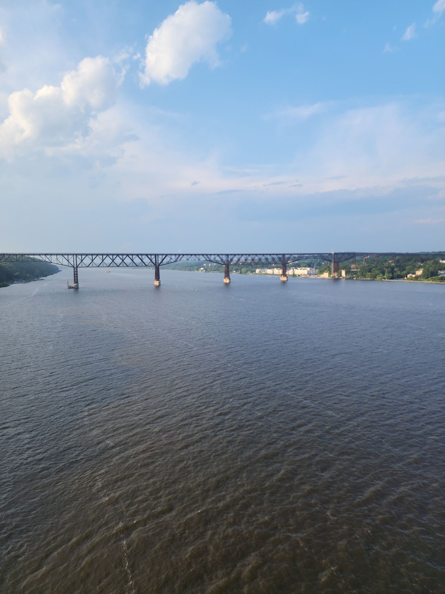 Long truss bridge spanning a wide river under a bright, partly cloudy sky. - Franny Reese Park and Mid-Hudson Bridge Loop