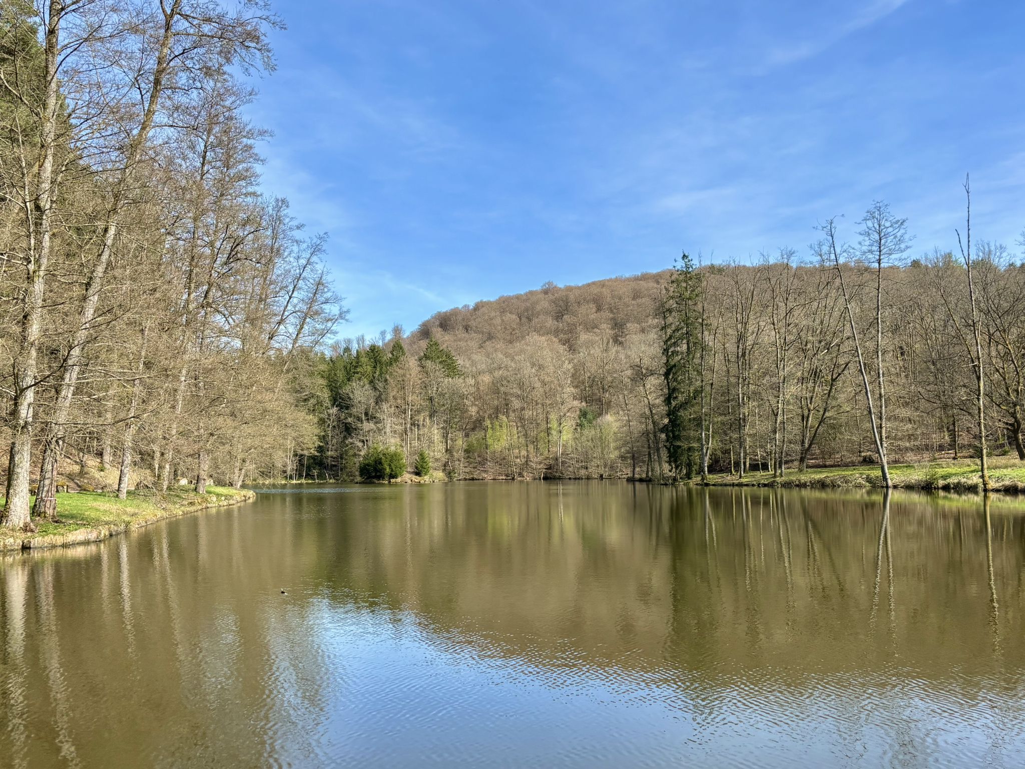 Étang du Loechersbach