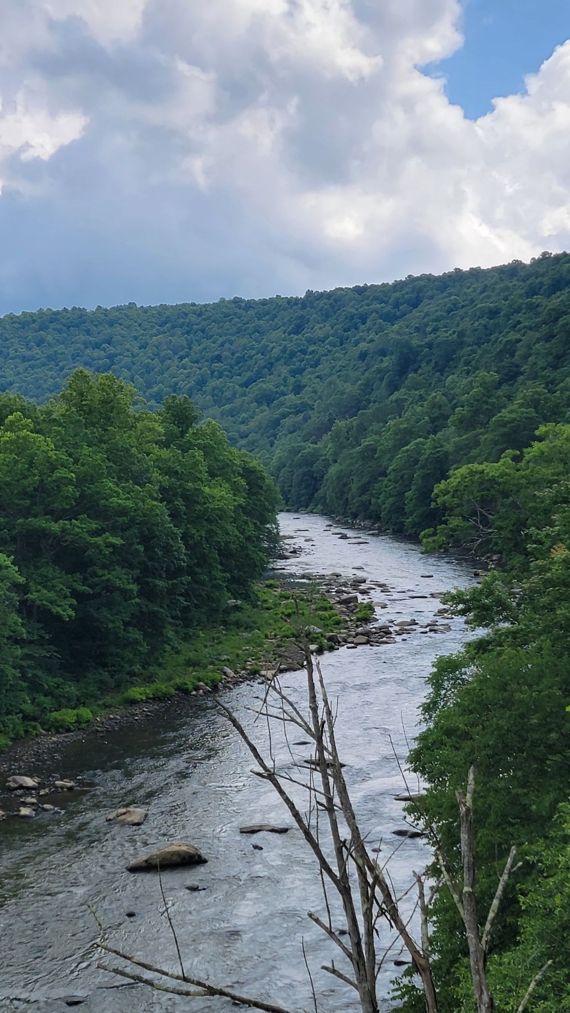 A winding river flows through a deep, green forested valley on a cloudy day. - Confluence – Wooden bridge loop from Fort Hill