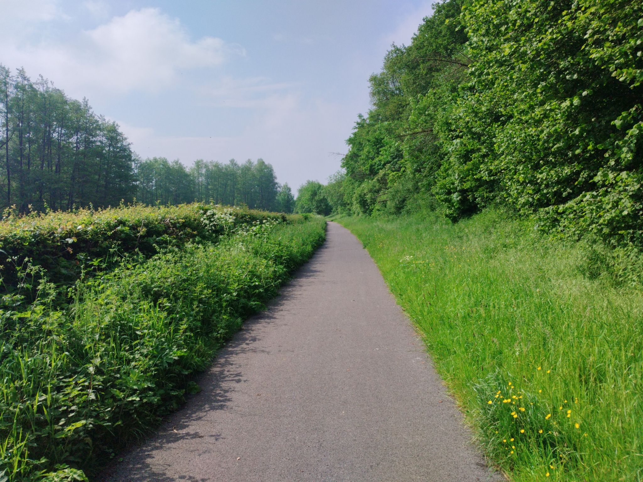 Bahntrassenradweg EV3