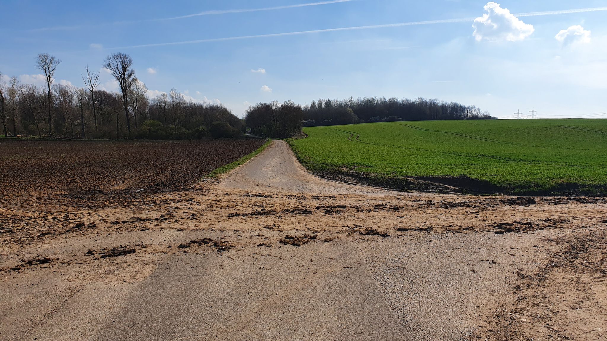 Blick Richtung Stommeln