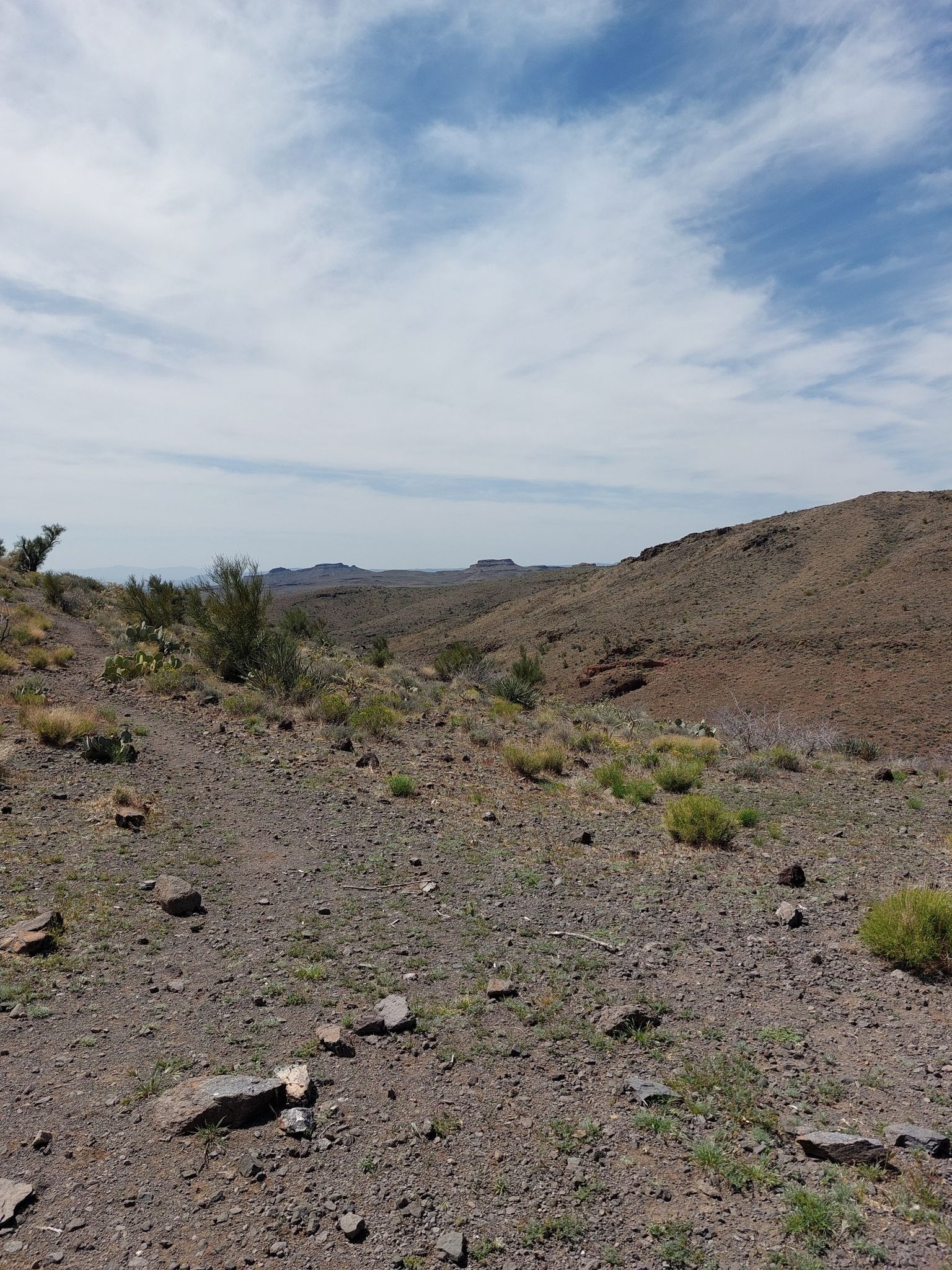 Rocky desert landscape under a partly cloudy sky, with sparse vegetation. - Camp Beale Loop Trail