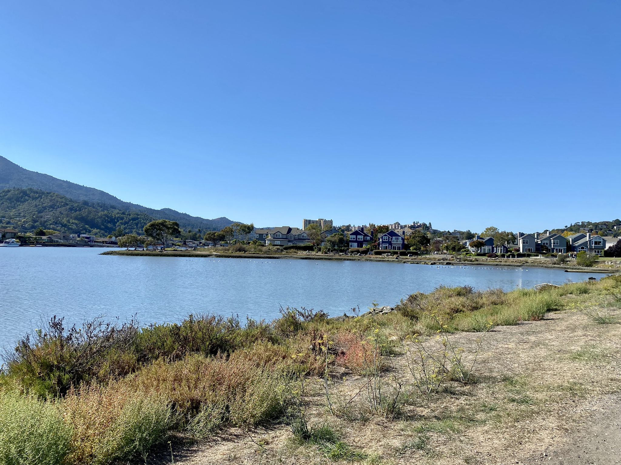A wide body of water with distant houses and mountains under a clear sky. - Larkspur Ferry Terminal – Larkspur Lagoon loop from Larkspur