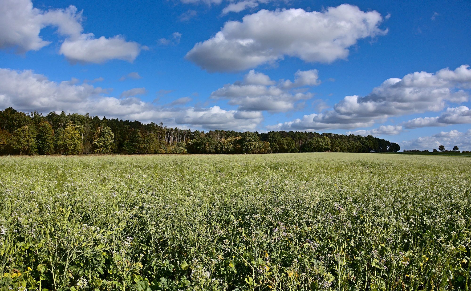 Ausblick oberhalb von Falkendorf