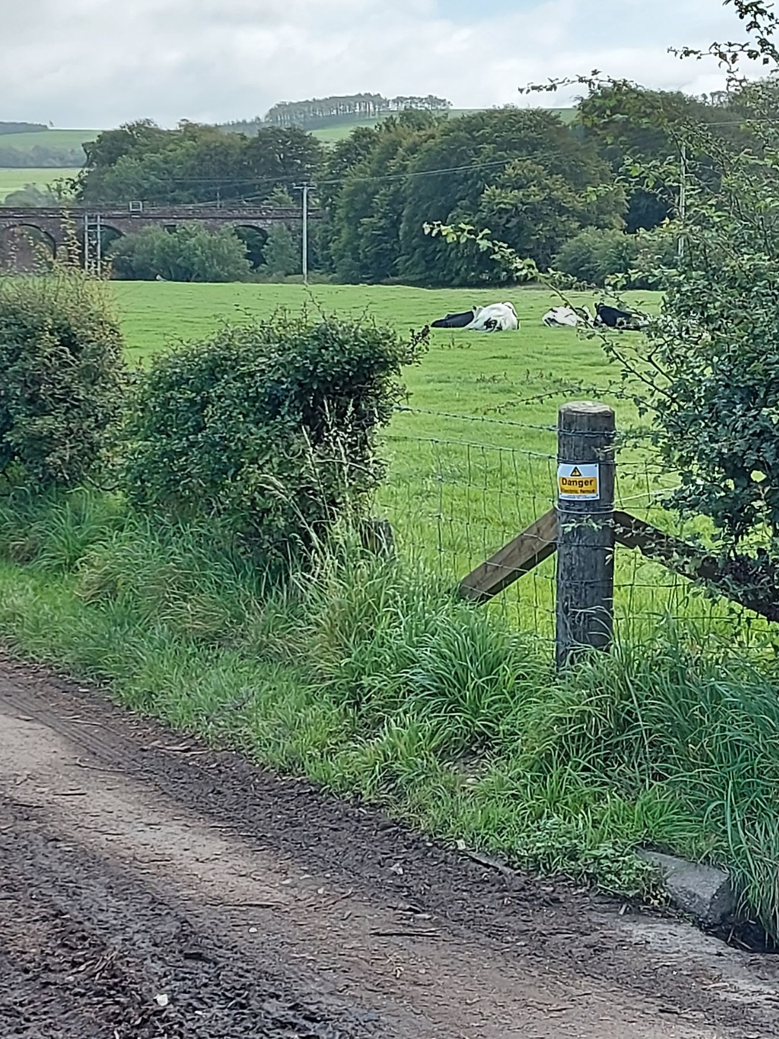 Dryfebridge