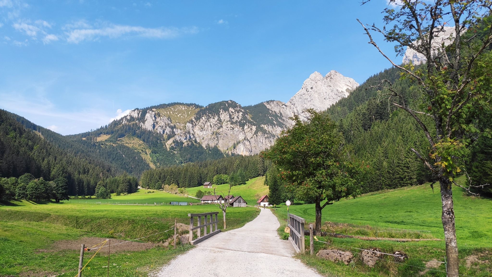 Blick zum Hochkogel