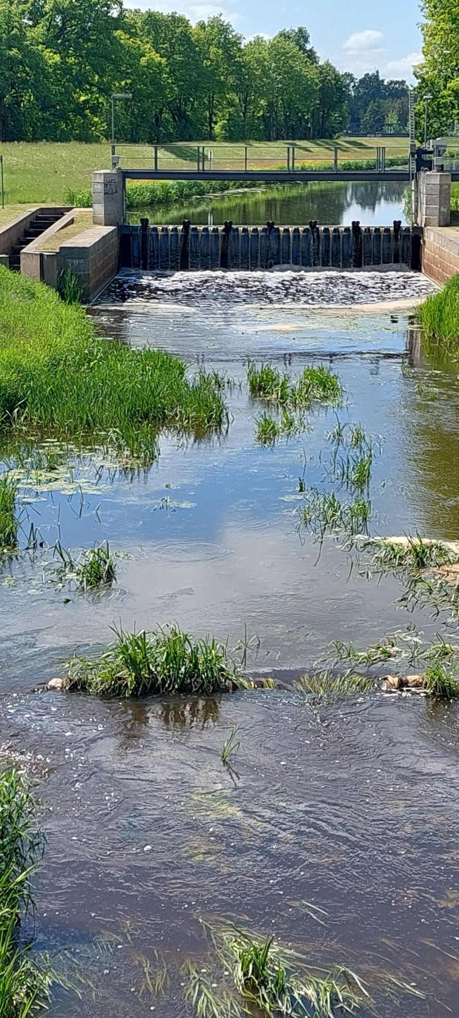 Der schwarze Elster Kanal 