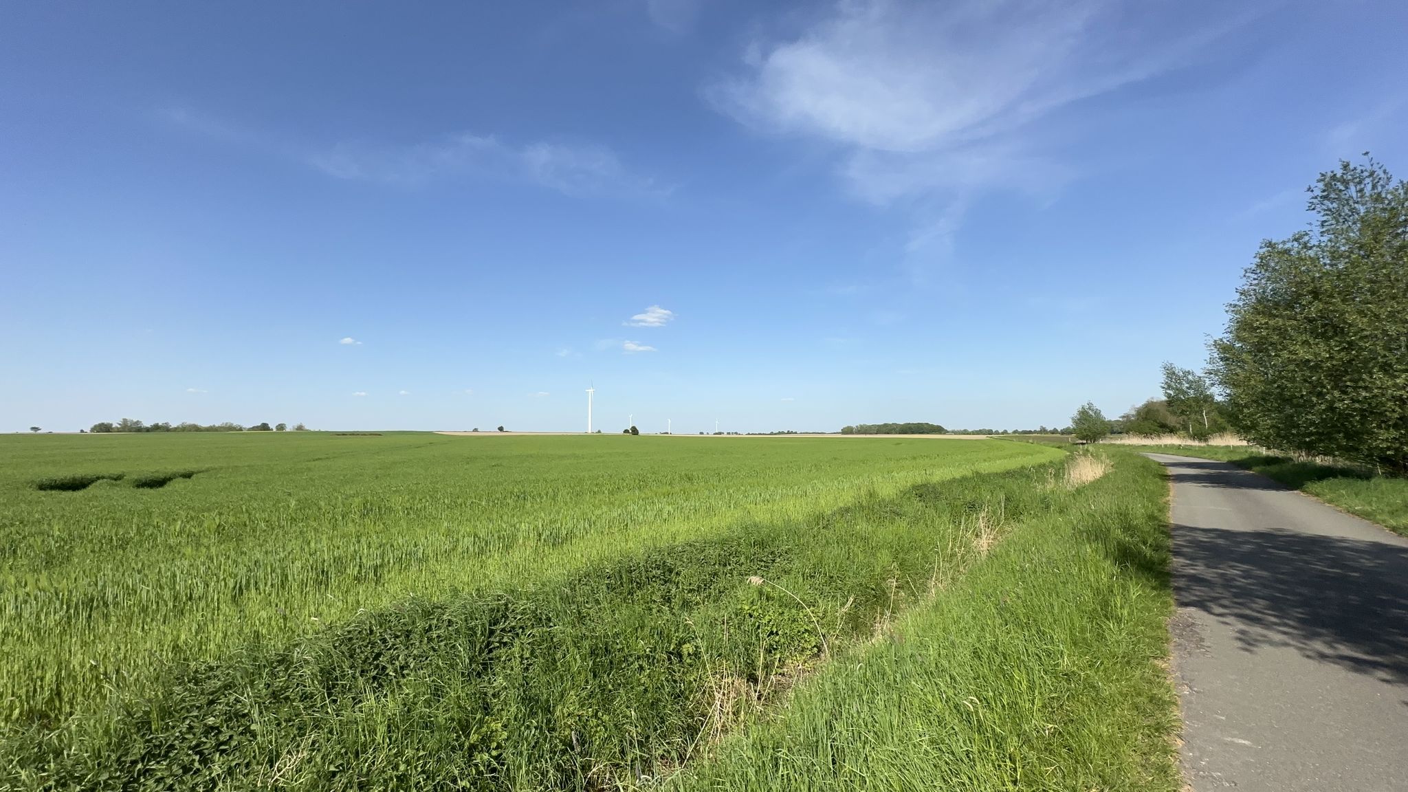 Landschaft im Wendland