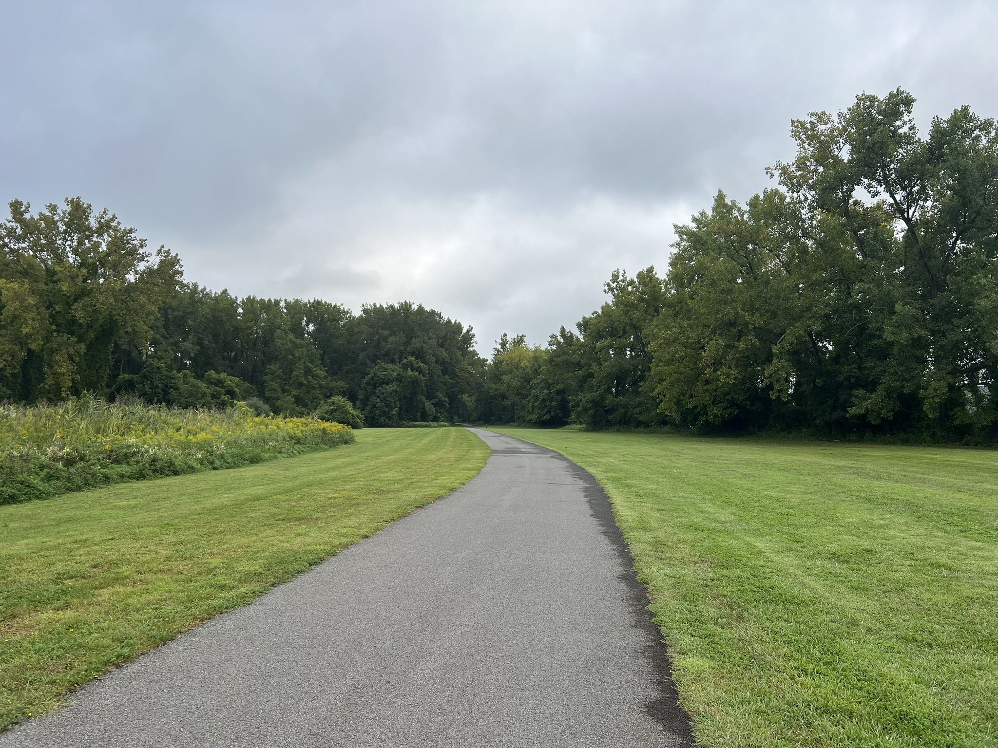 Paved path curving through green fields and dense trees, cloudy sky. - Riverfront Preserve loop from Albany