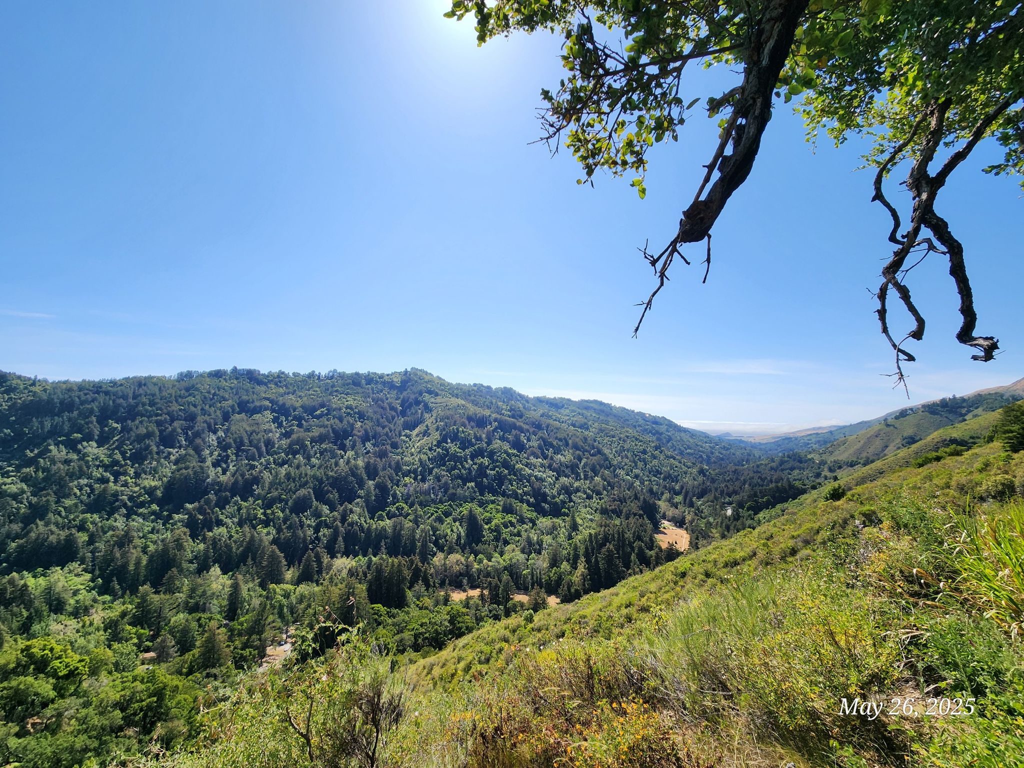 Sunny mountain landscape with dense green forests and a bright blue sky. - Pfeiffer Falls and Valley View Trail