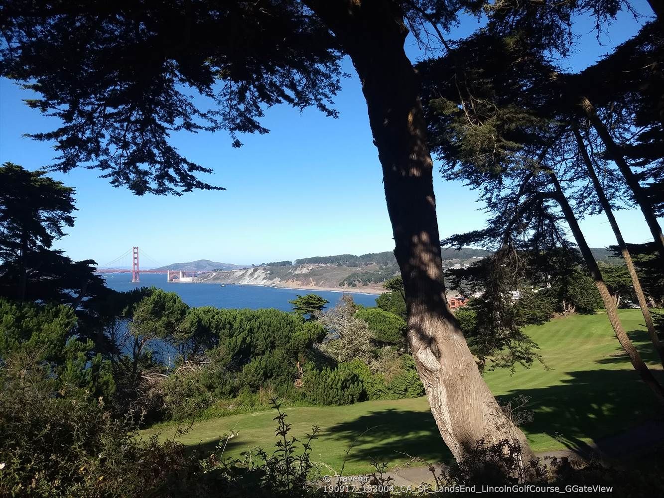 Large trees frame a view of a distant red bridge, green golf course. - Murphy Windmill – Golden Gate Park loop from Duboce Avenue & Noe Street