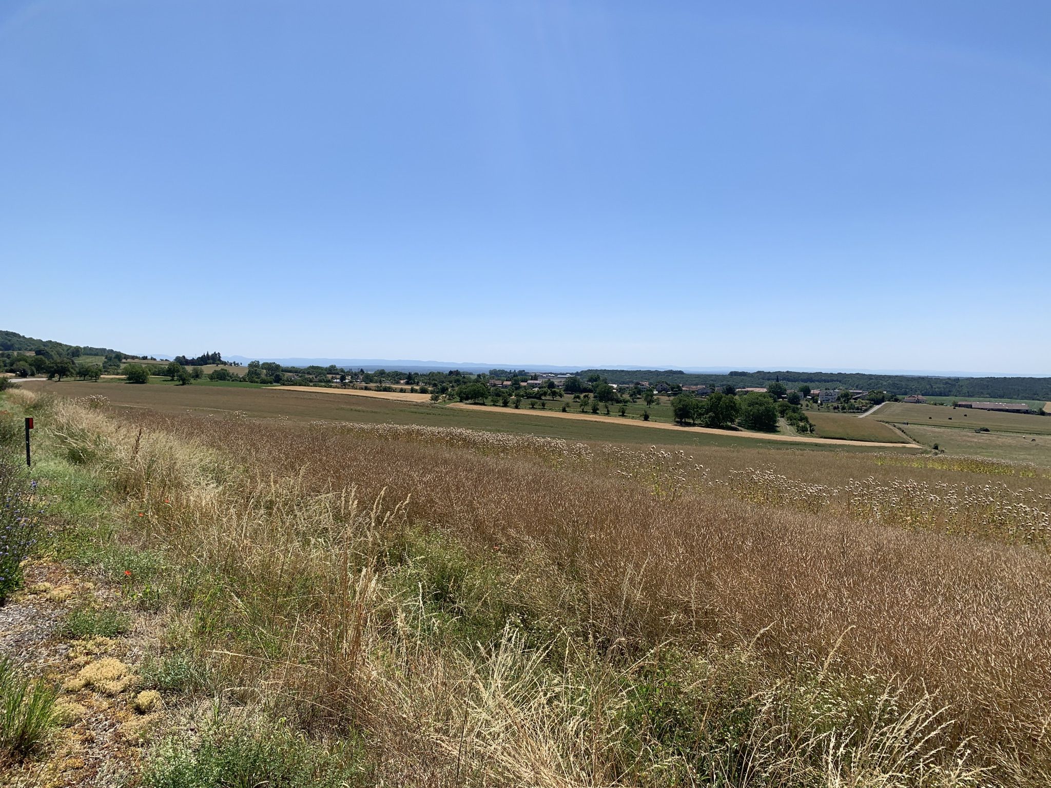 Vosges on the horizon!