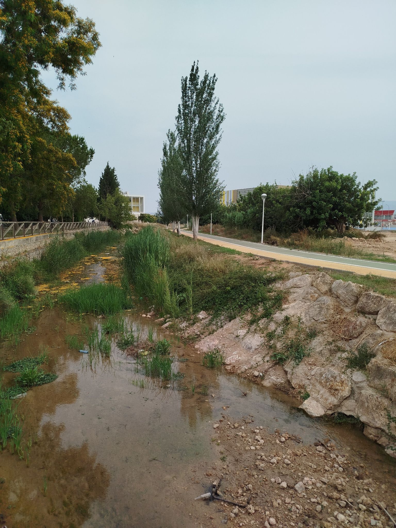 riachuelo por Monserrat.
