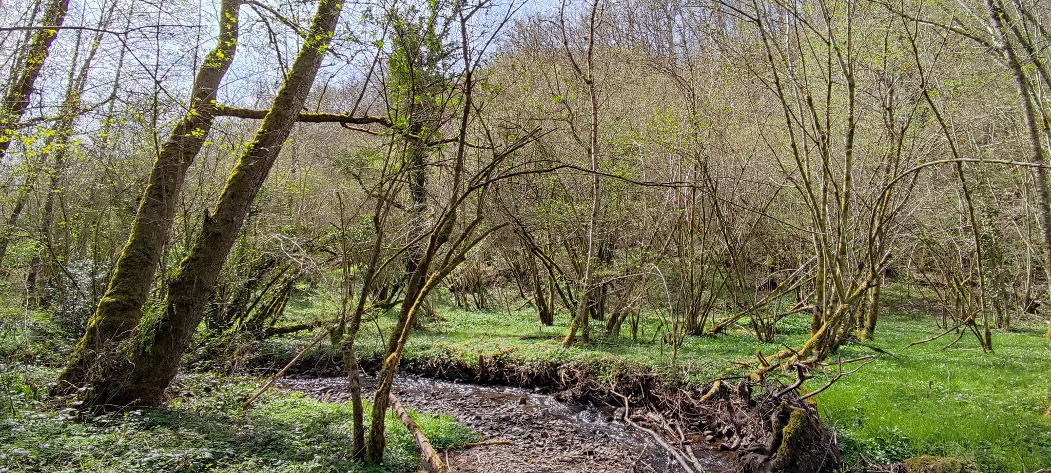 Bras de la Viouze