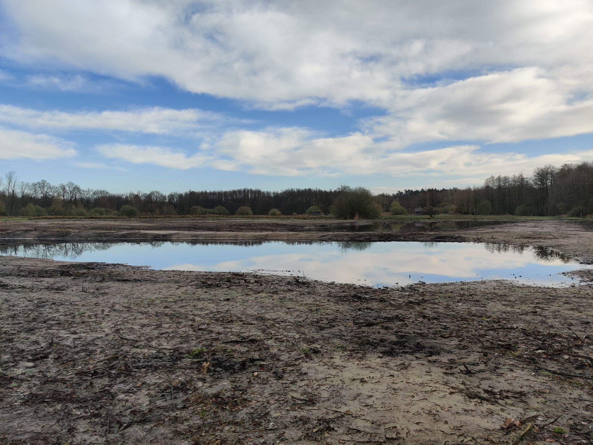 natuur in aanleg