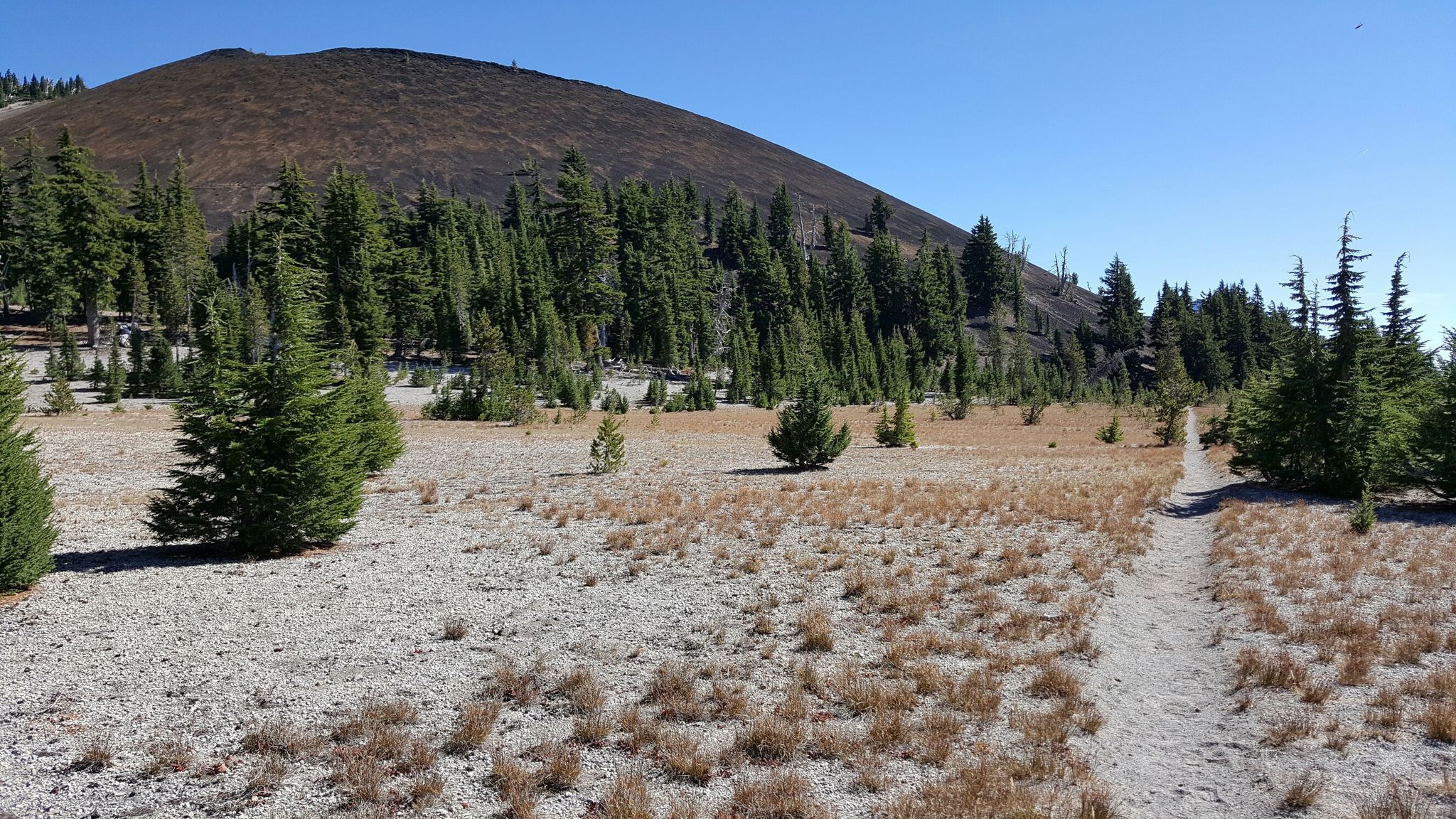 Dirt path through dry grass field towards a forested mountain under clear sky. - Green Lakes and Broken Top Loop