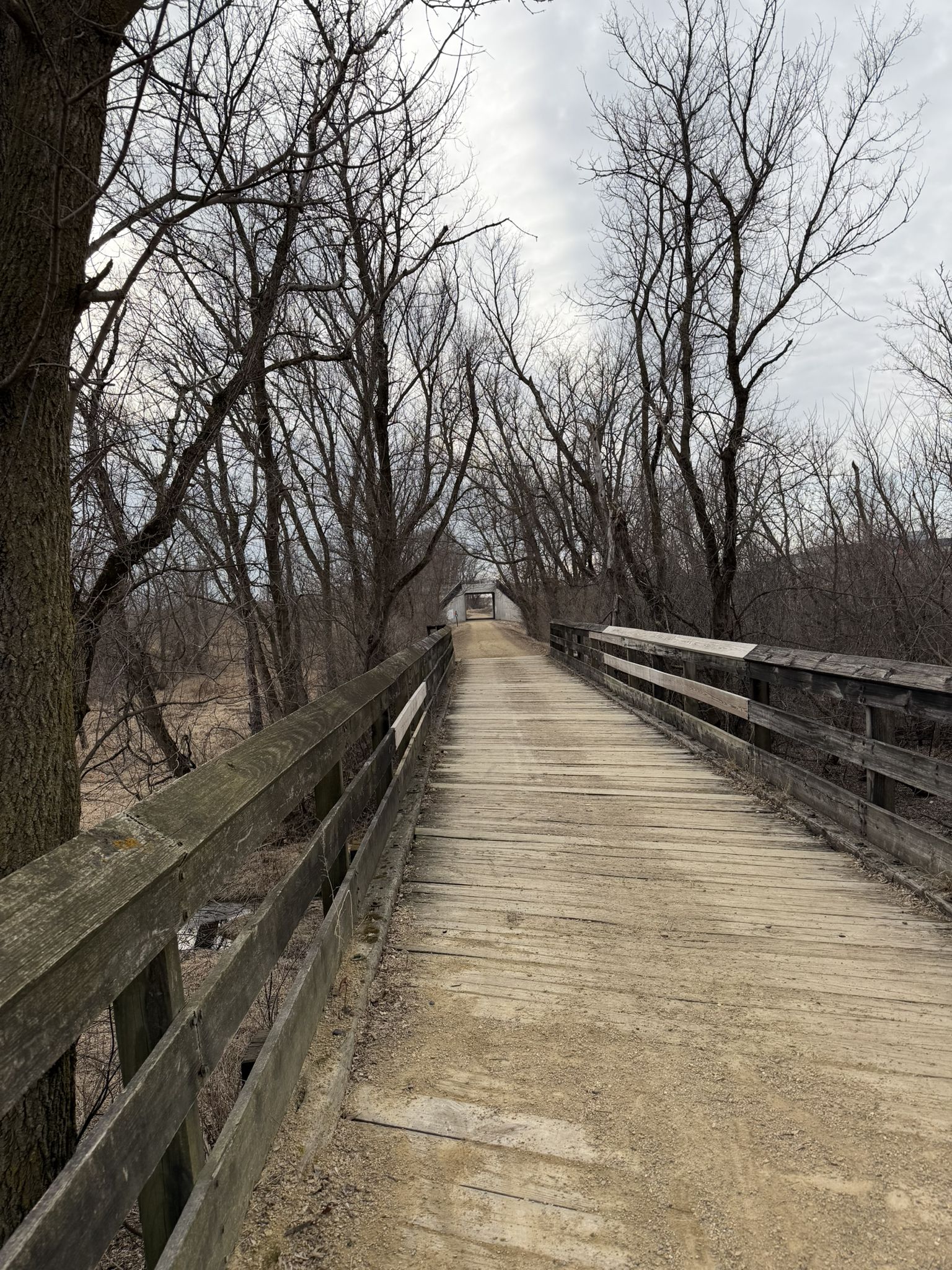 Long wooden bridge with railings, surrounded by bare trees under an overcast sky. - Military Ridge State Trail loop from Verona