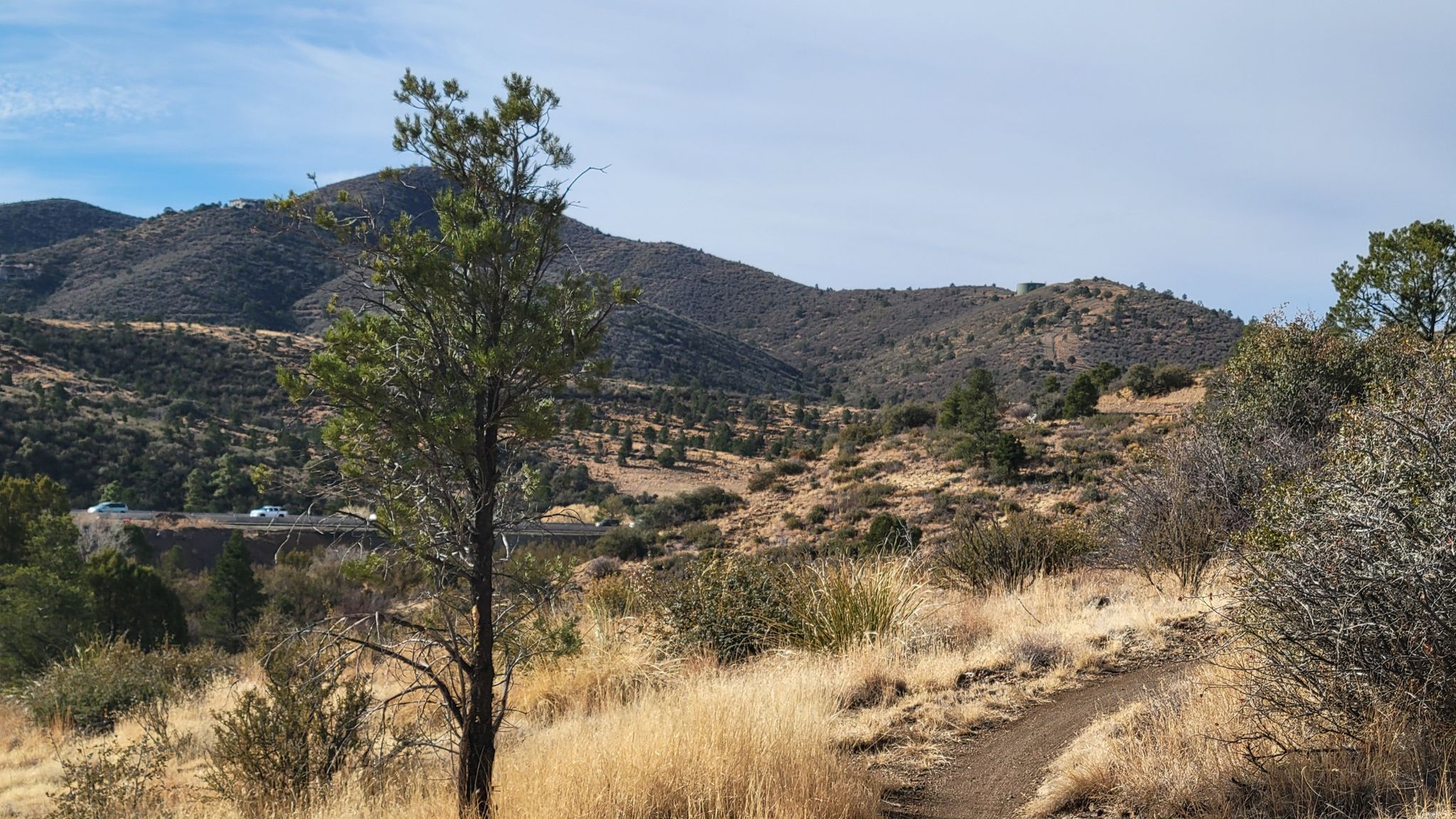 A dirt path winds through dry grass and sparse trees on sunny hills. - Downtown Prescott – Upper Goldwater Lake loop from Prescott