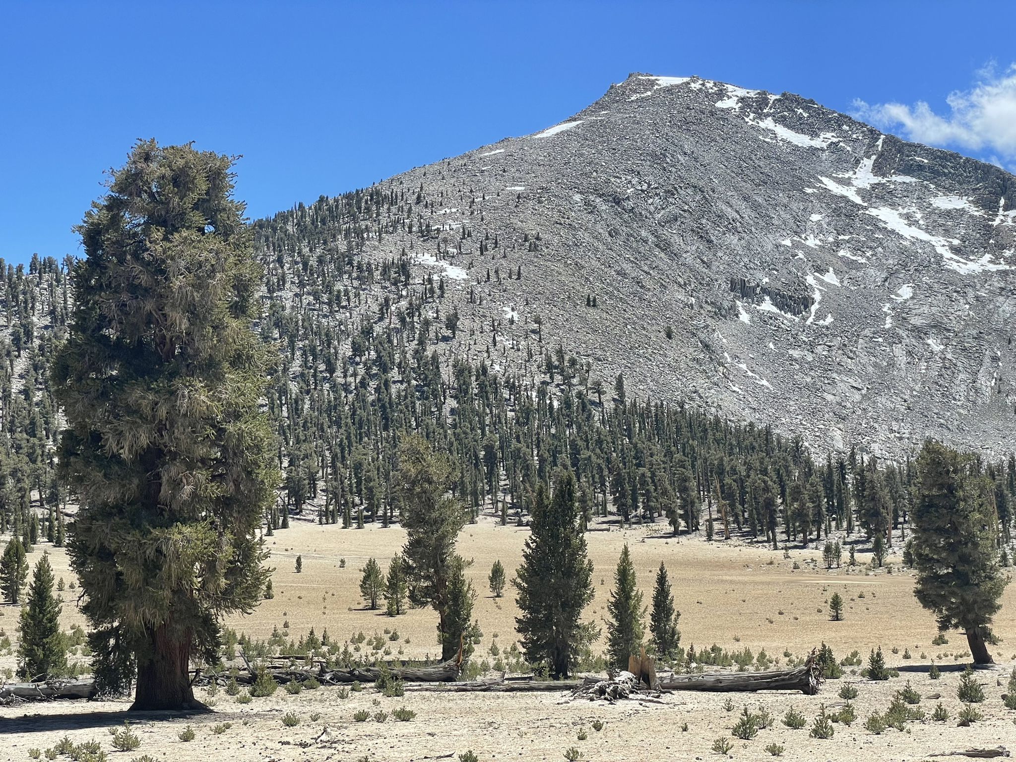 Large, rocky mountain with snow patches, surrounded by sparse pine trees. - Mount Whitney via Cottonwood Lakes and JMT