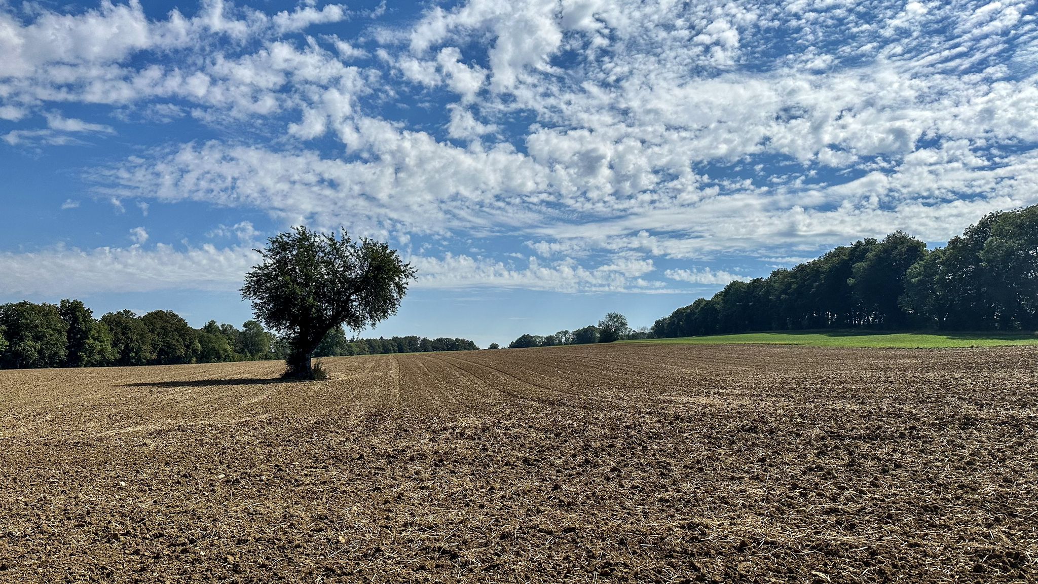 ...dem Feld entlang bis gaaanz nach vorne...