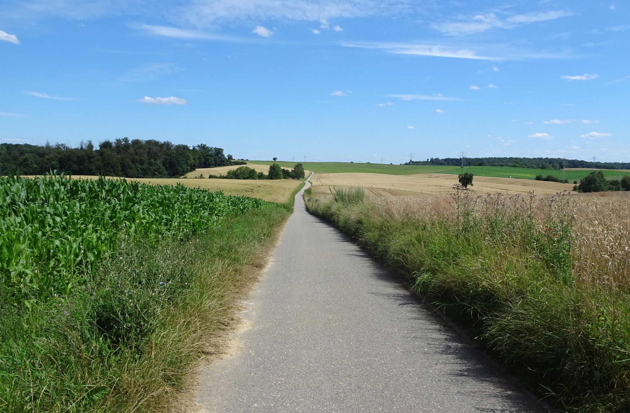 Grenzweg Leimen - Bammental