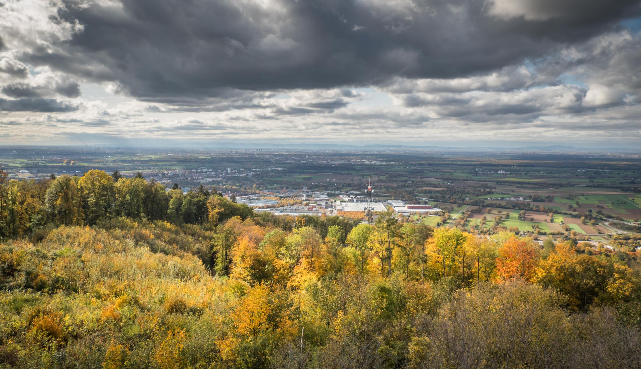 Blick in die Rheinebene vom Hirschkopfturm