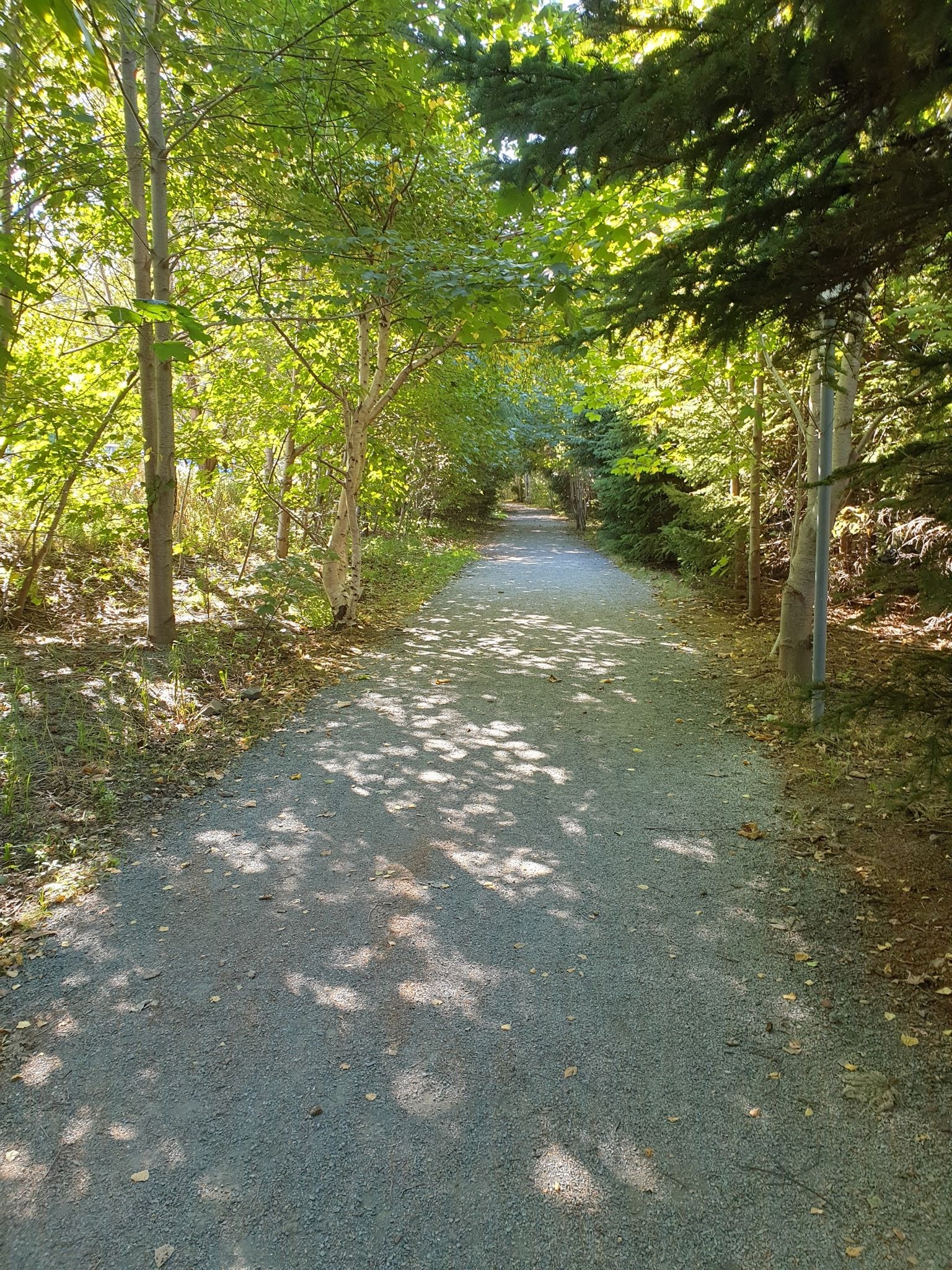 River walkway