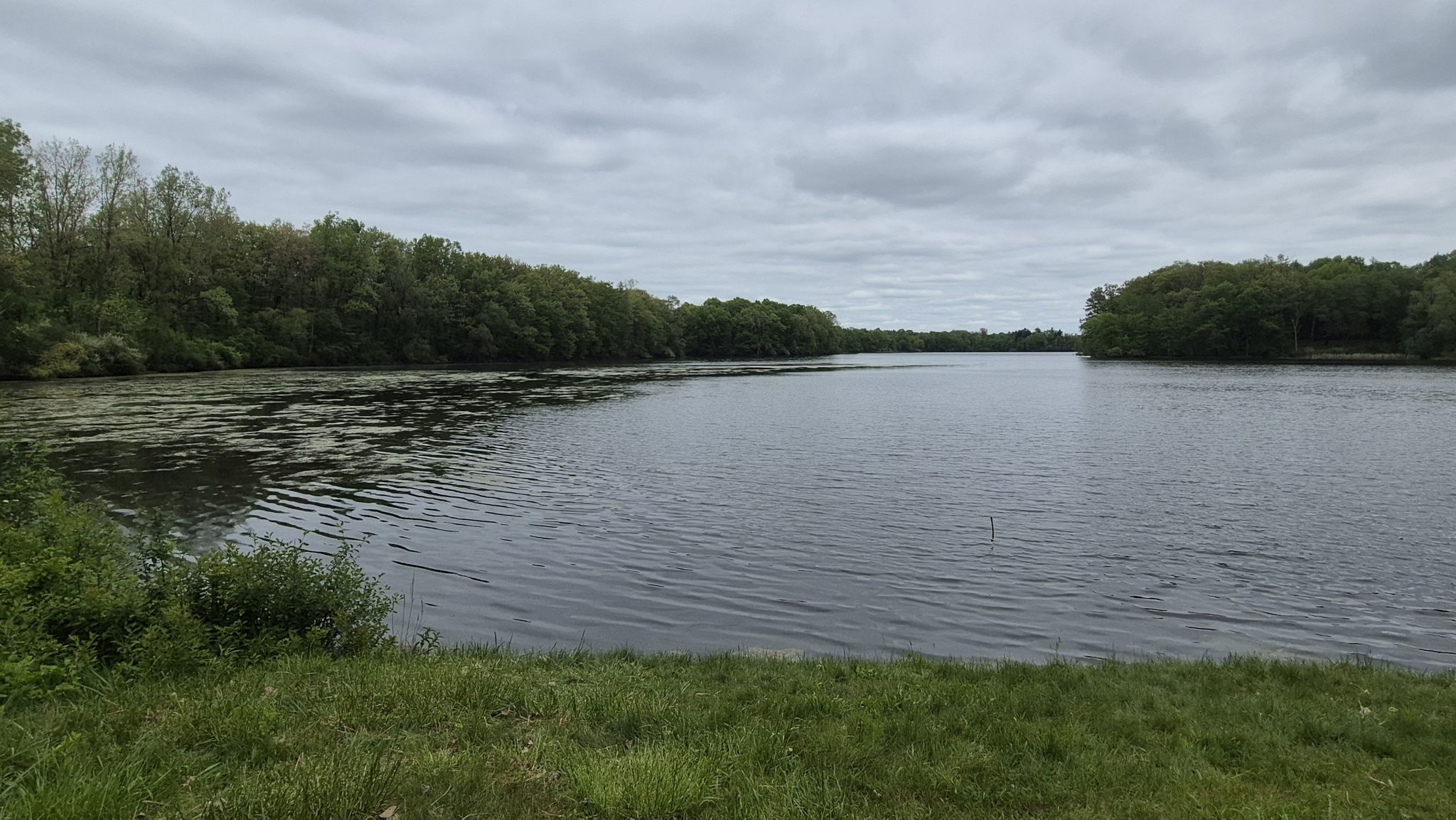 Wide view of a calm lake bordered by dense green forest under cloudy sky. - Polly Ann Trail – Lower Trout Lake loop from Rochester Adams High School