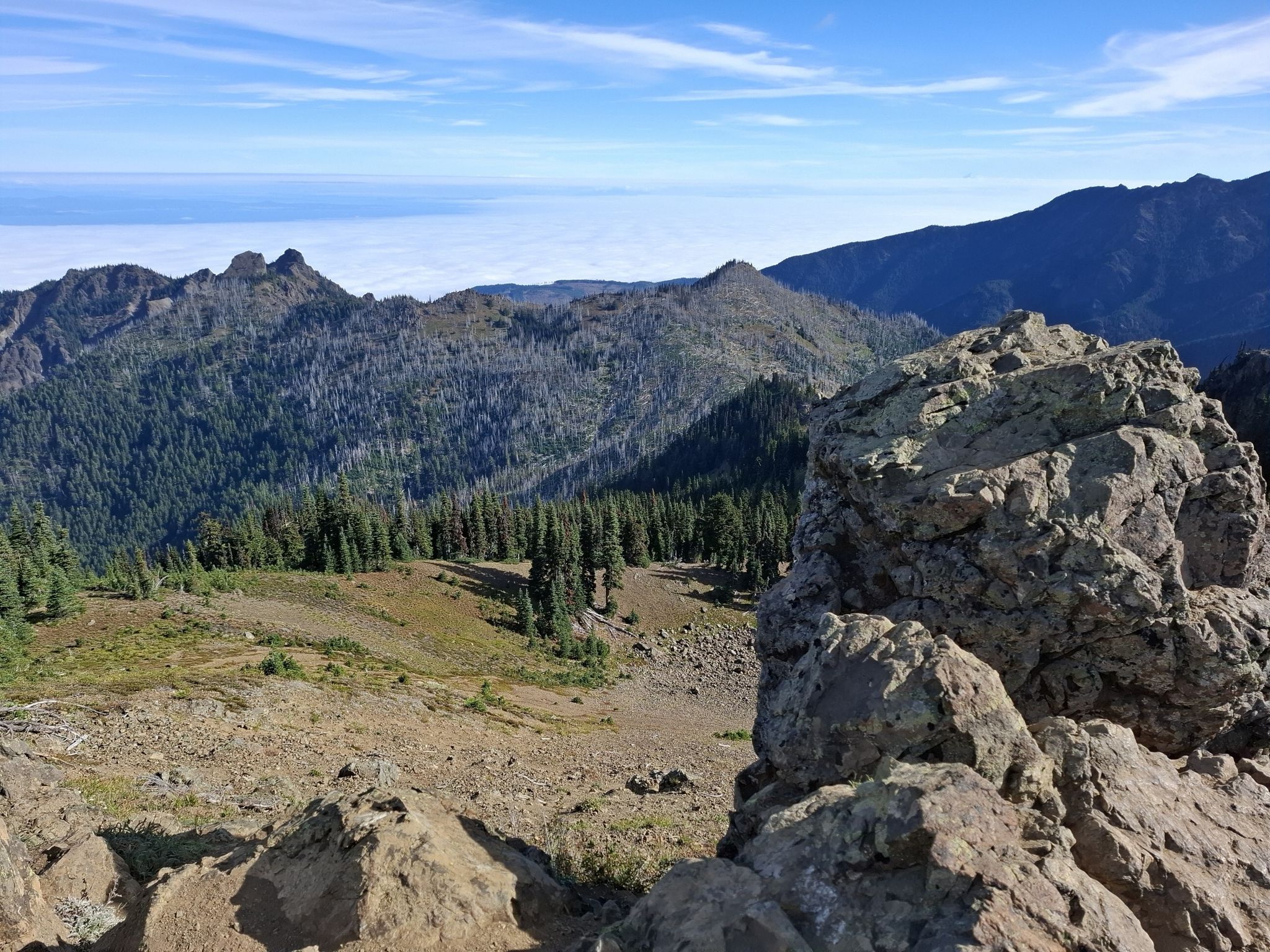 Rocky foreground overlooks forested mountains and clouds under a bright sky. - Hurricane Hill Trail