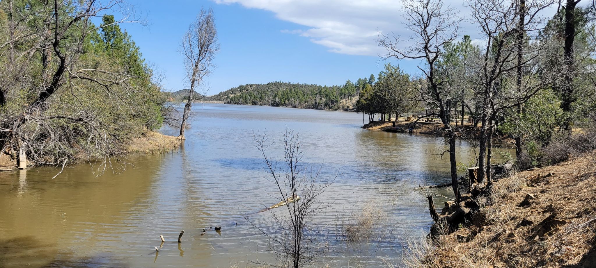 Sunny lake with a narrow channel, bare trees, and ducks swimming. - Homestead Trail loop run