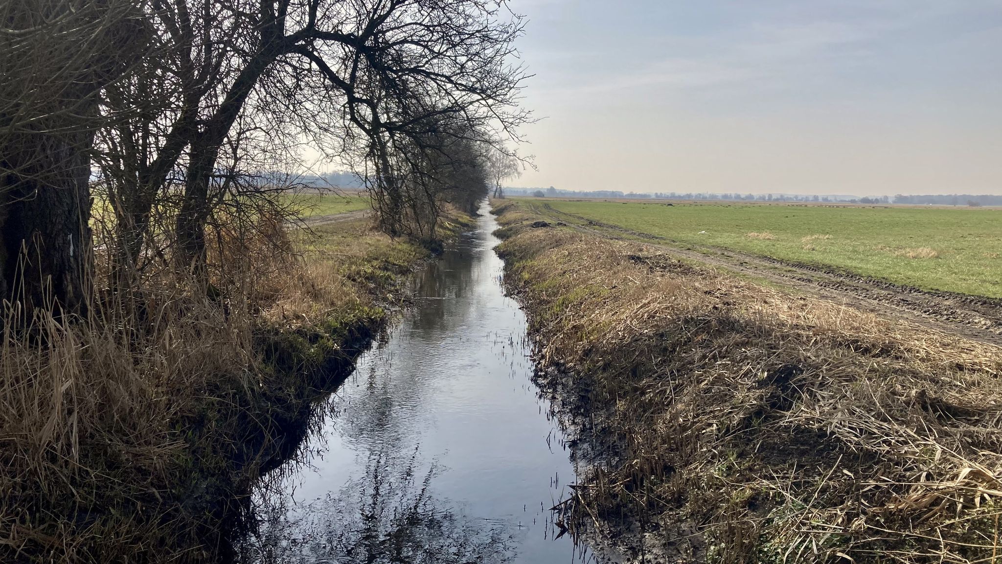 km 8 – Enwässerungsanal?, westlich Firnhaber Moss = Mertinger Hölle 👹