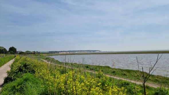 Cliffsend to Sandwich and Pegwell Bay Nature Reserve loop via Stoneless ...