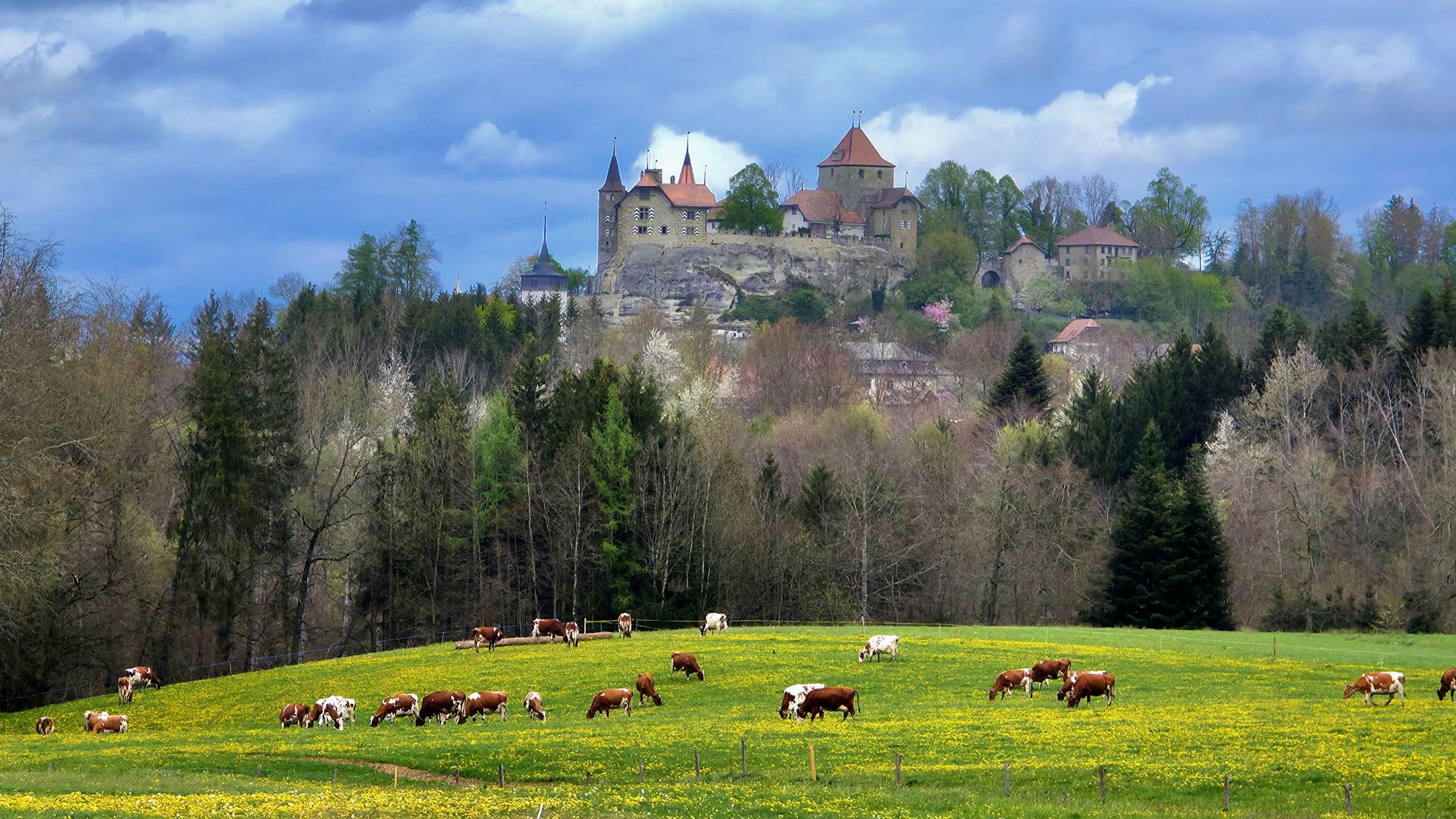 Die Vorfreude auf den Schlossbesuch steigt bei dem Anblick ins Unermessliche. Der Fotograf kanns kaum erwarten!