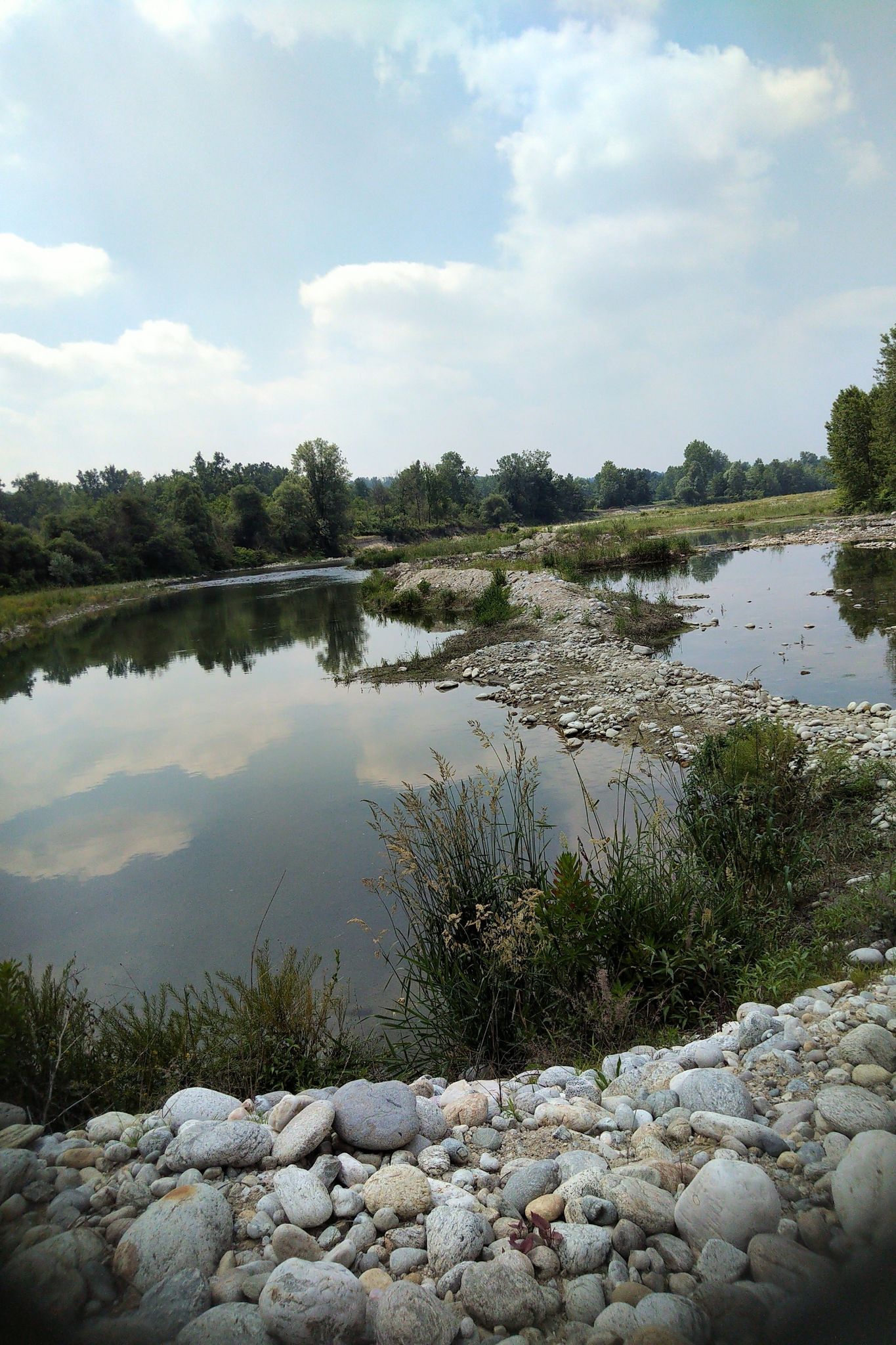im Fluss