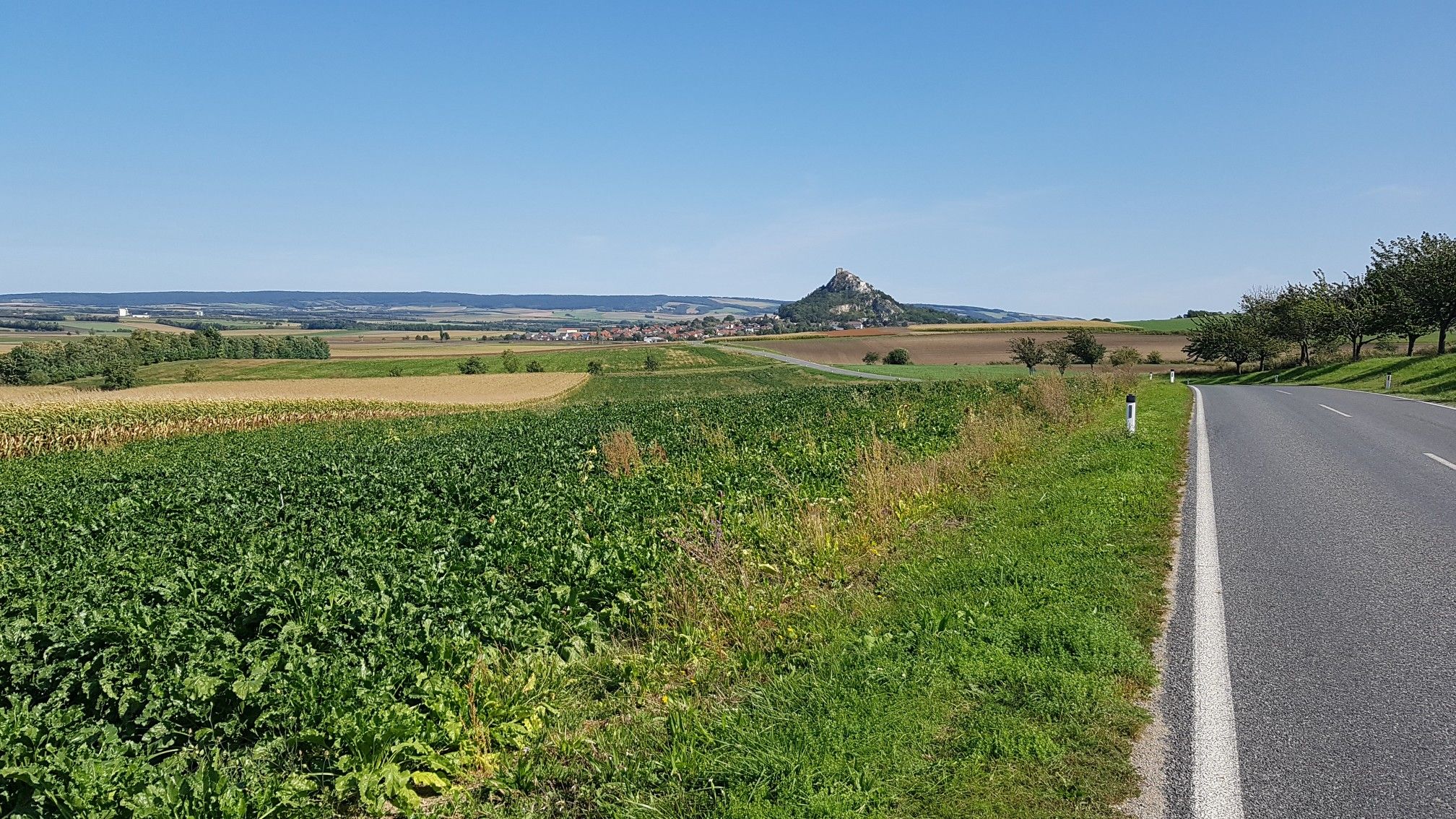 Blick zurück zur Ruine
