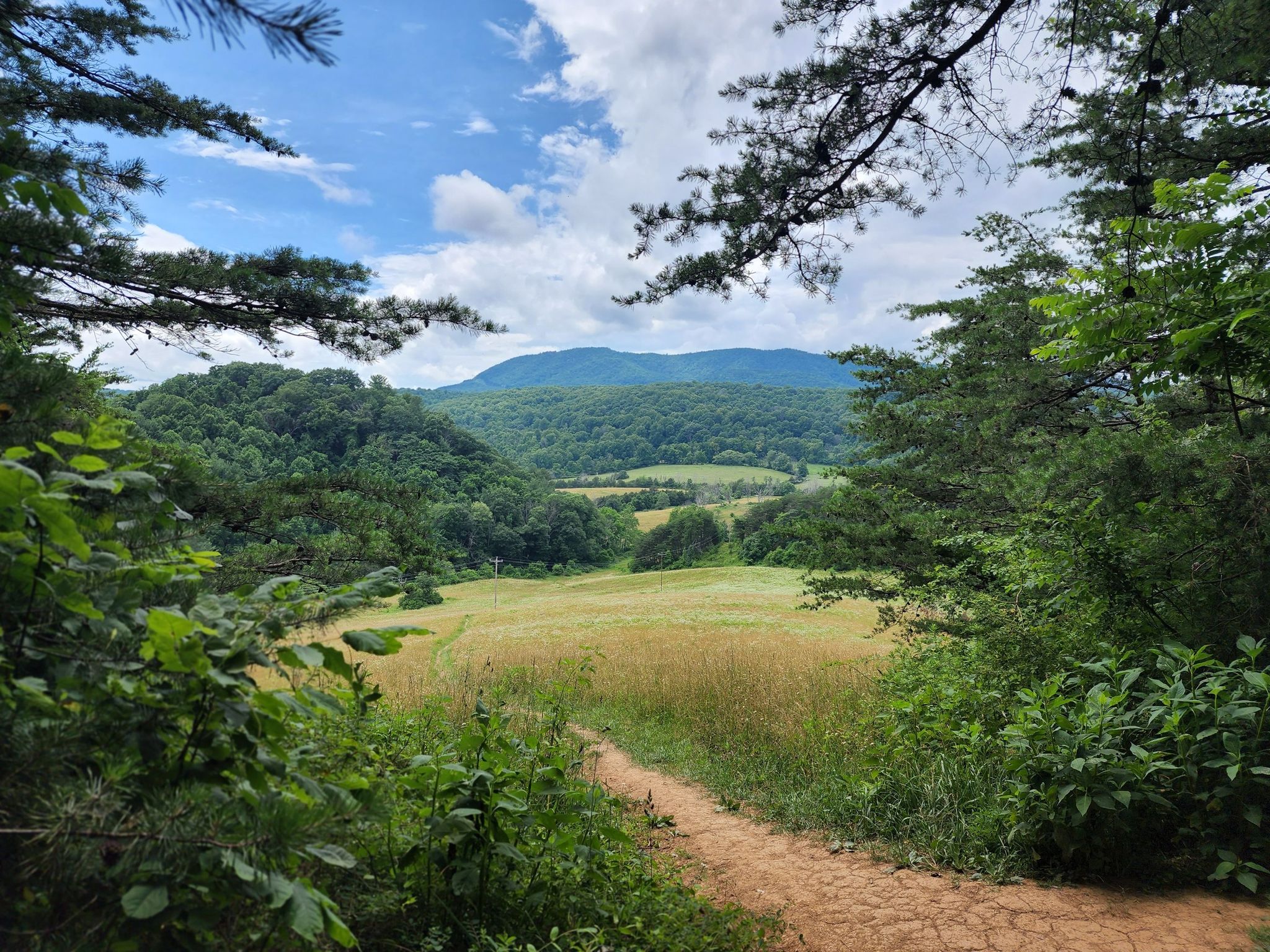 Dirt path leading to a golden field with mountains under a cloudy sky. - McAfee Knob – Tinker Mountain loop from North Mountain
