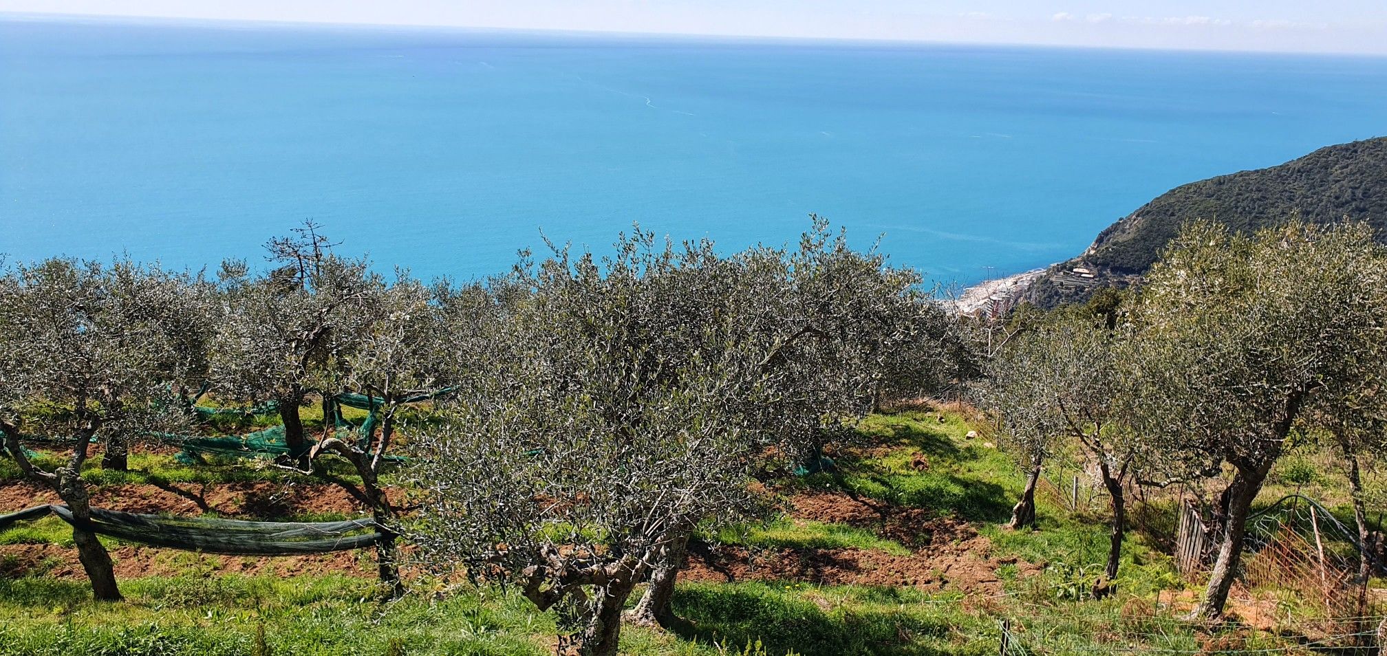 Oberhalb Deiva di Marina