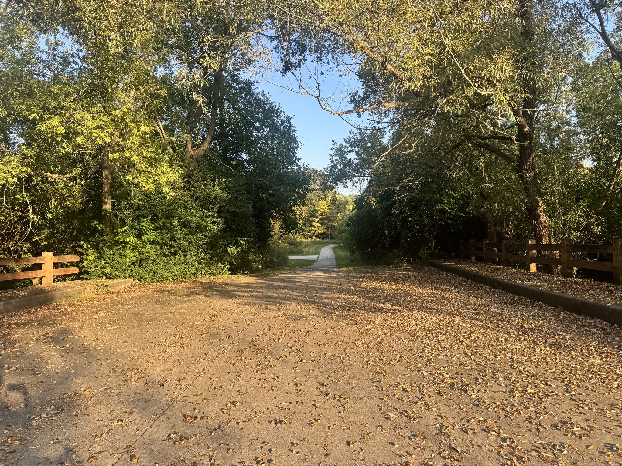 A sunlit dirt path covered in leaves, leading into a green forest. - Oak Leaf Trail Root River Line