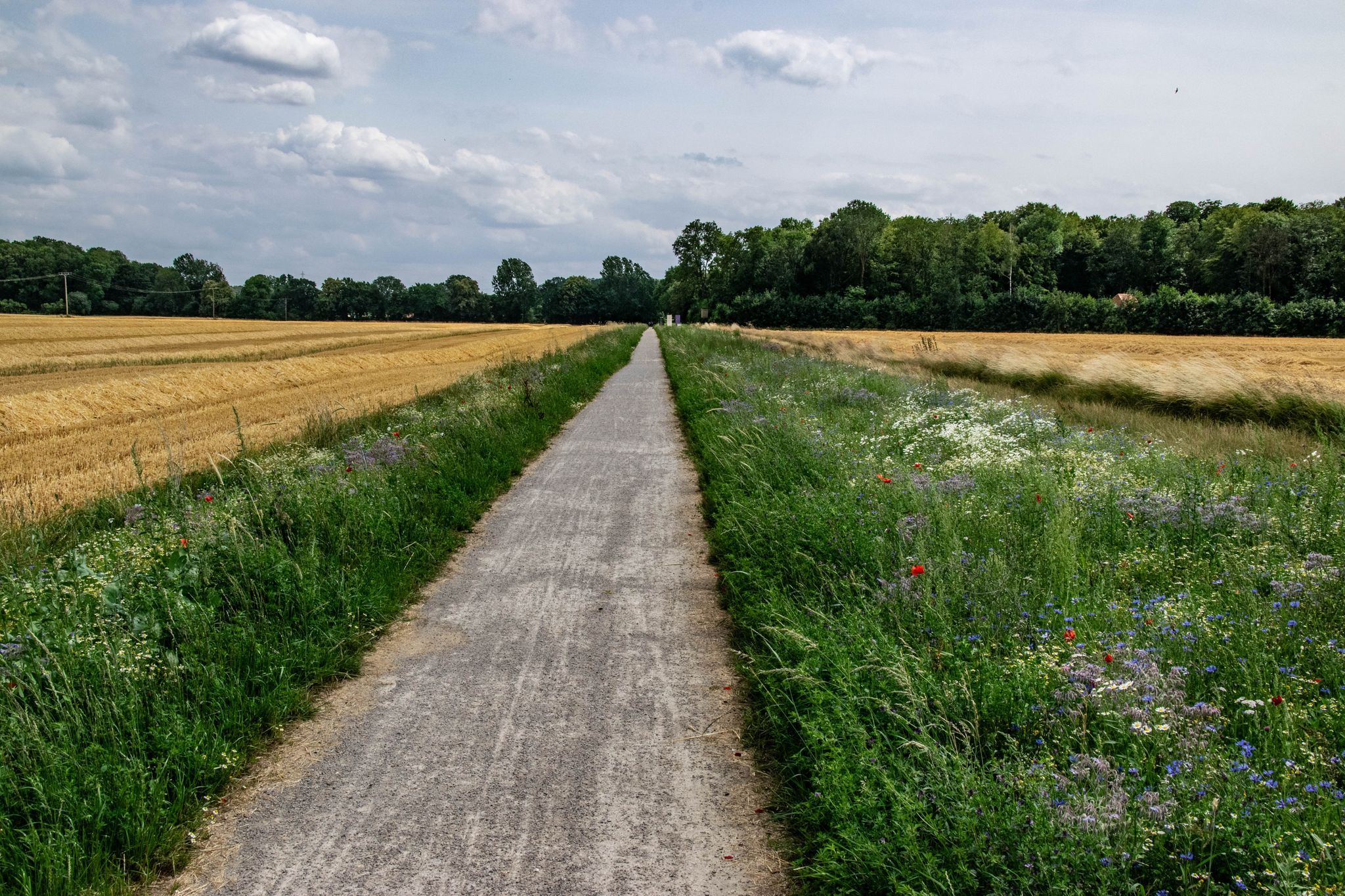 Lyrikweg bei Hülshoff