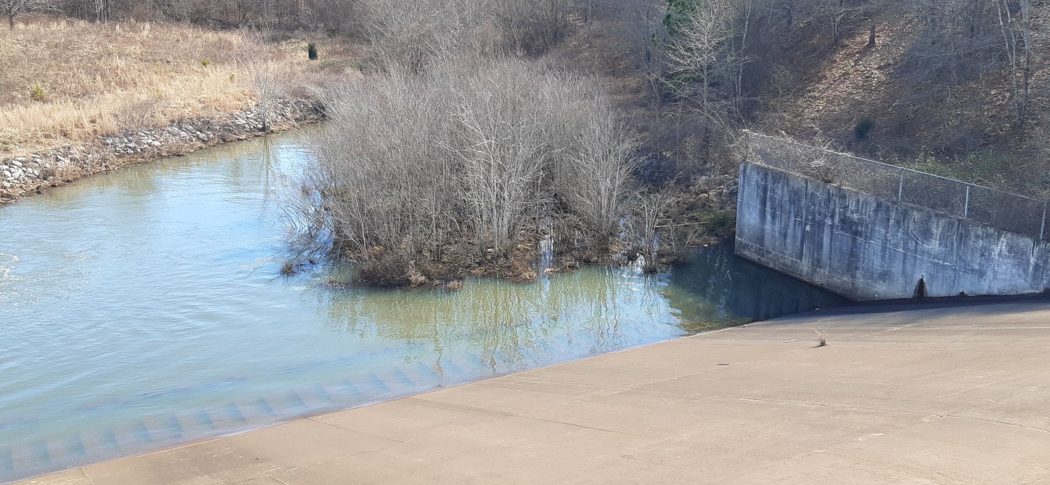 Water flowing past a concrete dam structure and bare trees on a sunny day. - Lloyd N. Harris Loop