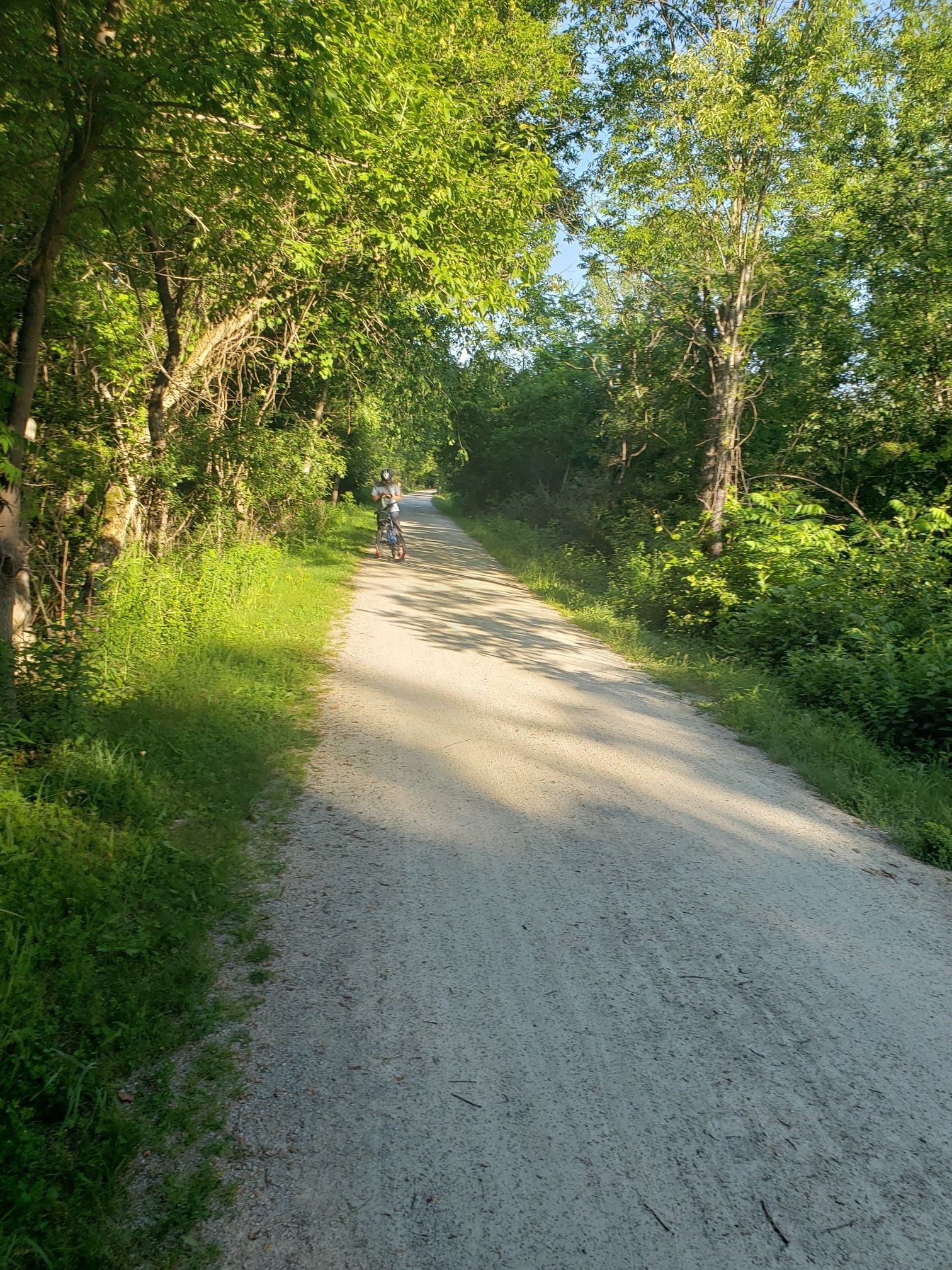 A person cycles on a sunny, tree-lined gravel path. - Paint Creek Trail