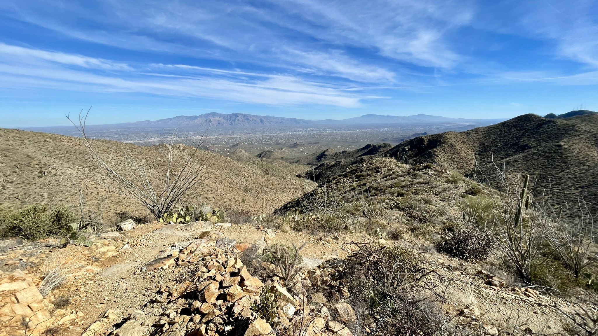 Arid mountain landscape with sparse vegetation, distant mountains, and a clear blue sky. - Wasson Peak loop from Malcolmson Donation