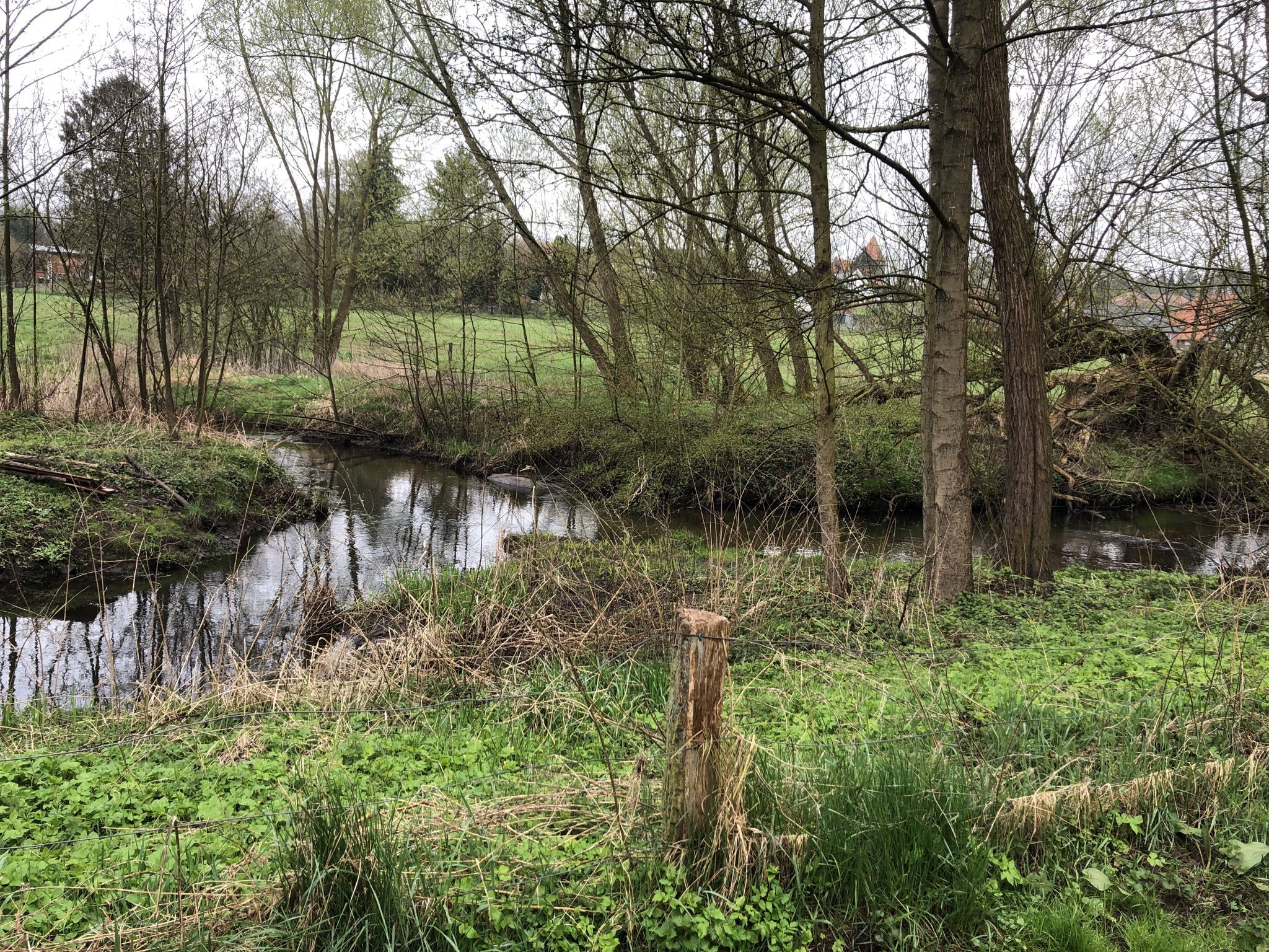 Die Steinau